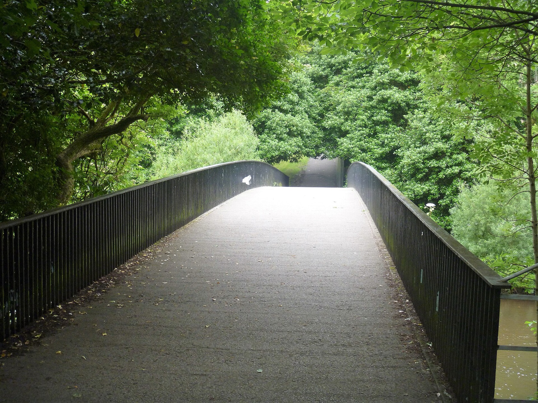 Mit érdemes megnézni Glasgow-ban: 18 tipp és ingyenes múzeumok 2026-ban 4 Kelvingrove Park