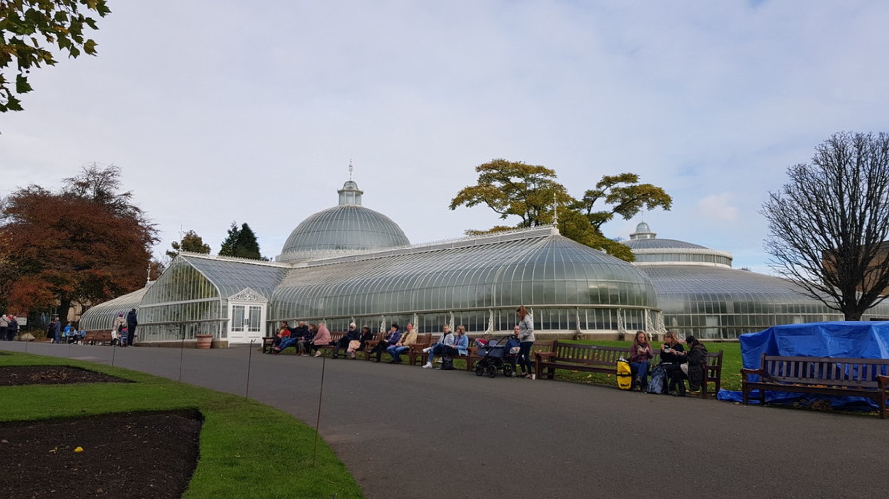 Mit érdemes megnézni Glasgow-ban: 18 tipp és ingyenes múzeumok 2026-ban 20 Kibble Palace a botanikus kertben