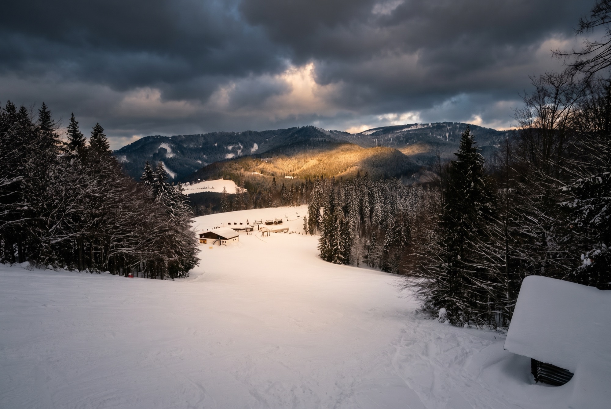 Skifahren in Österreich: 20 Top-Skigebiete und Skipass-Preise 2026 8 Skipiste in Lackenhof unter dem Ötscher