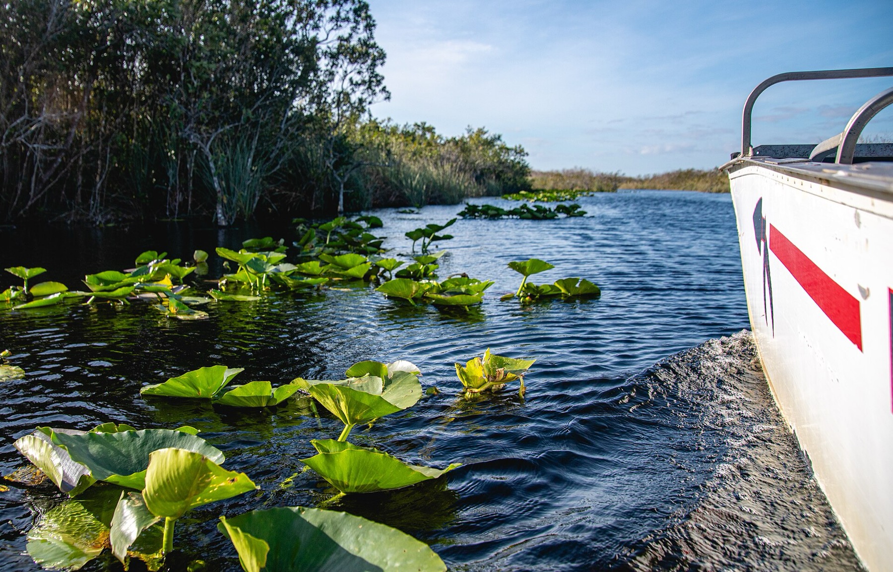 What to See in Miami: 18 Tips and What's Free in 2026 10 Everglades National Park