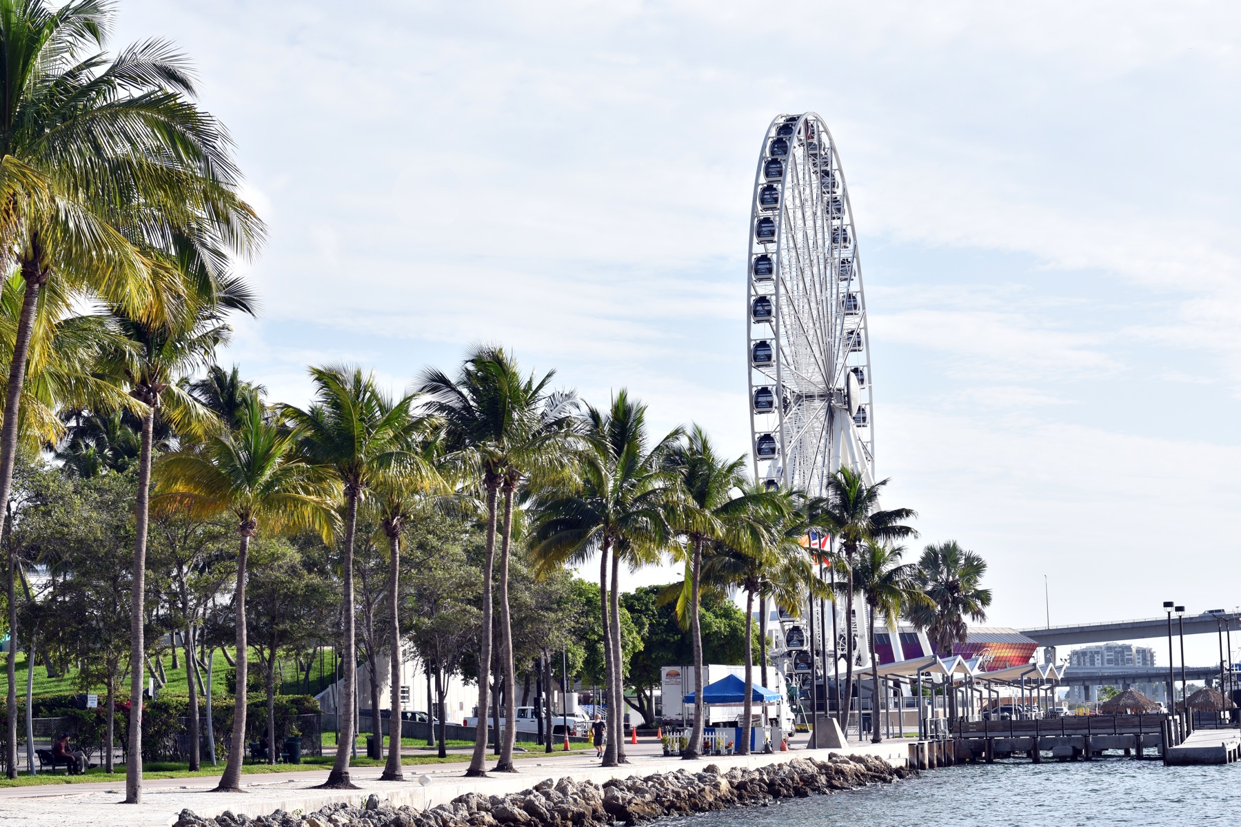 What to See in Miami: 18 Tips and What's Free in 2026 11 Bayside Marketplace