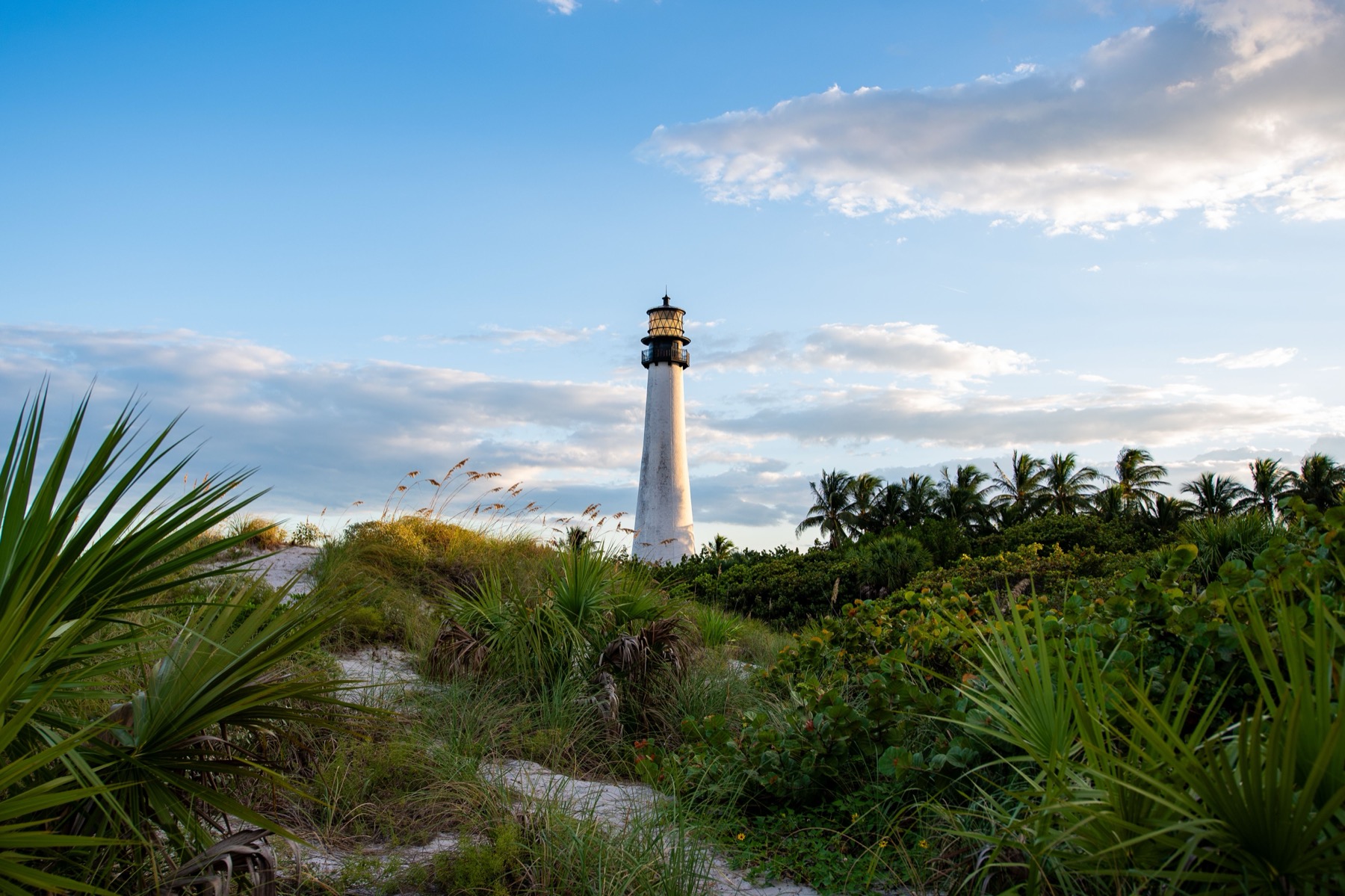 What to See in Miami: 18 Tips and What's Free in 2026 13 Beach on Key Biscayne