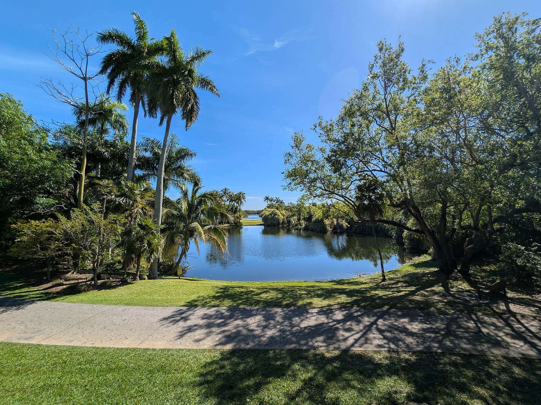 What to See in Miami: 18 Tips and What's Free in 2026 20 Fairchild Tropical Botanic Garden