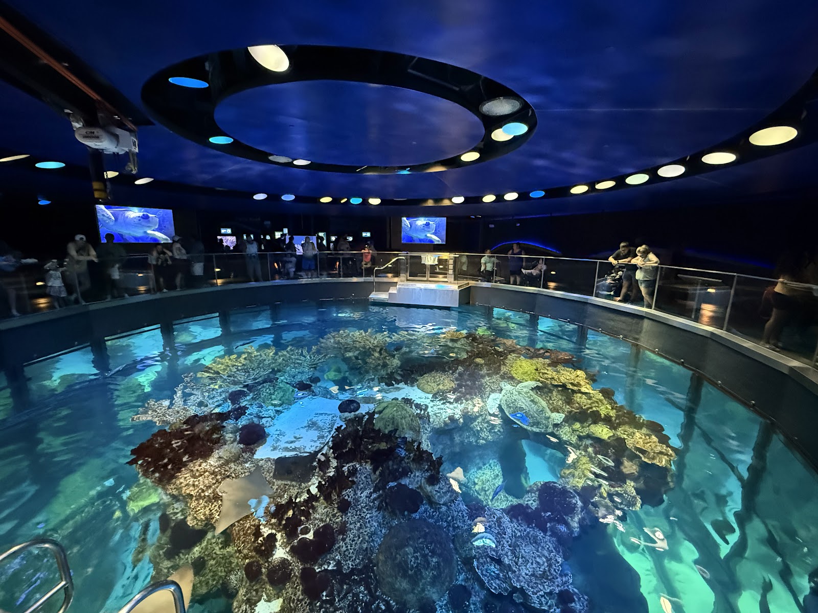 Boston, USA: 22 tipů, co vidět a dělat + Freedom Trail 21 Válcové akvárium v New England Aquarium