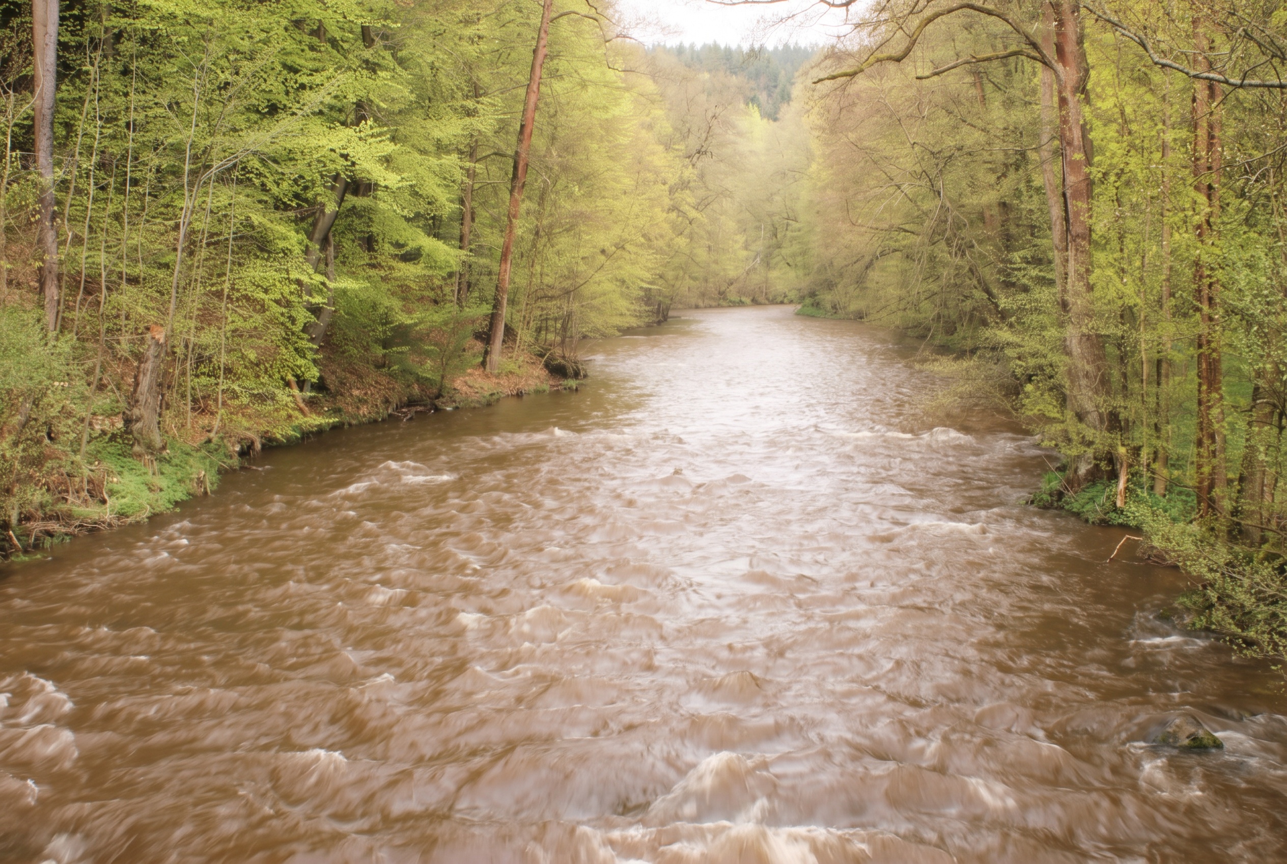 Kam na dovolenou ve východních Čechách: 15 tipů, co vidět a dělat 20 Řeka Úpa v jarním Babiččině údolí (foto upraveno z Wikimedia Commons, Draceane, CC BY-SA 4.0)