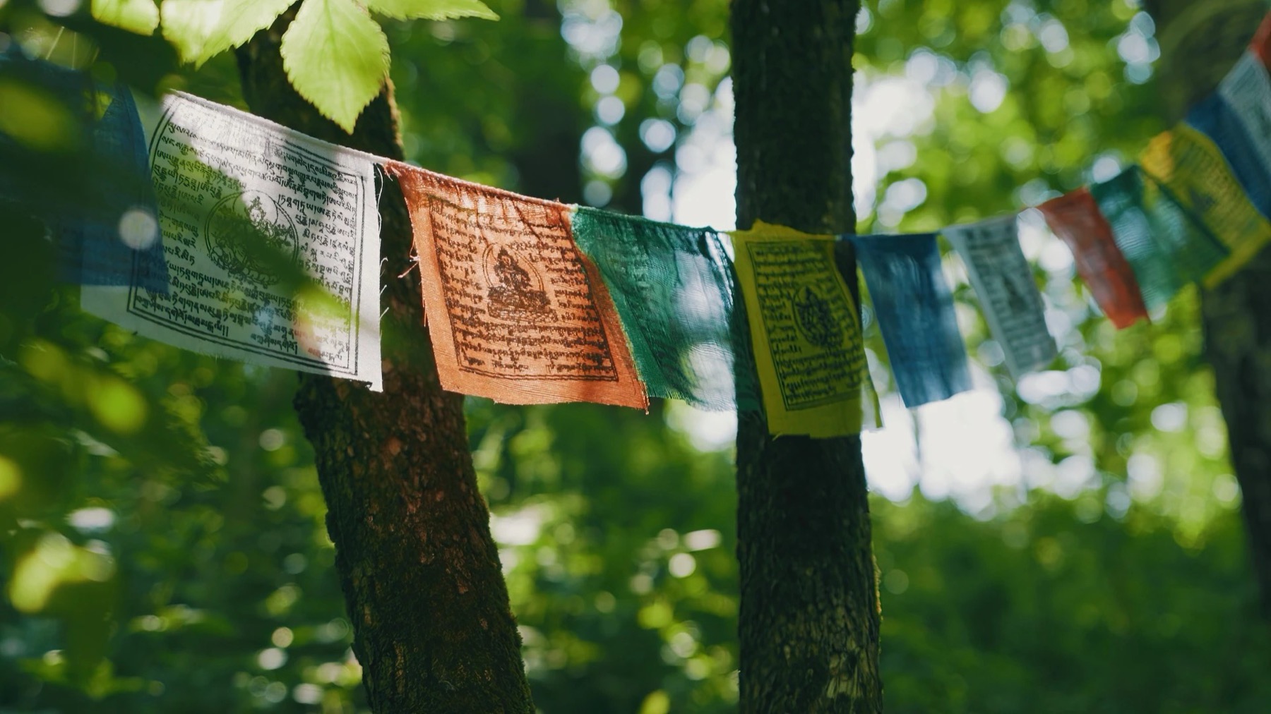 Glamping Tschechien: 34 beste Orte für 2026 30 Ausstattung des Glampings Yurt In The Wood | Jurta pod hvězdou