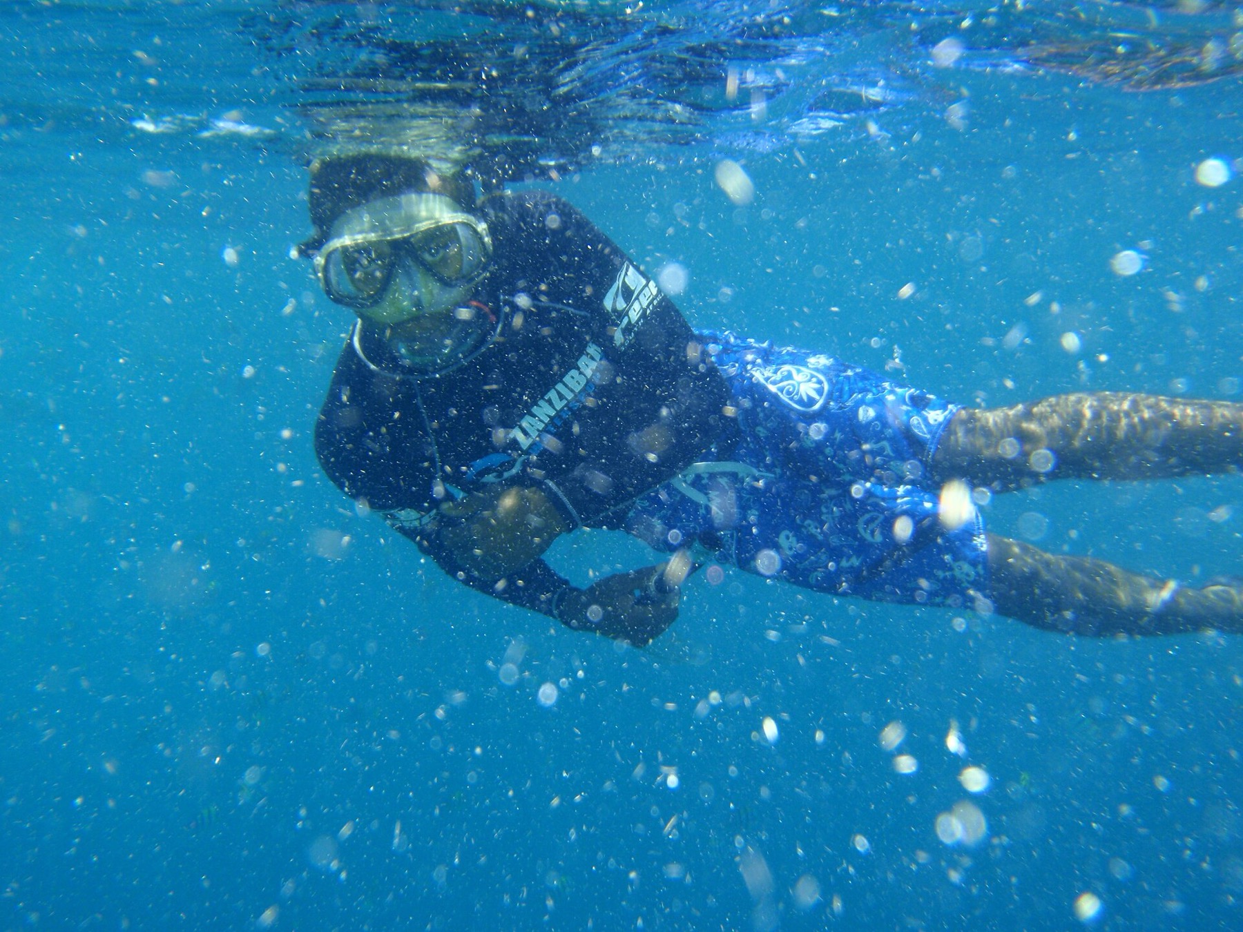 Zanzibar Tanzania: 44 oplevelser og bedste rejsetid i 2026 28 Snorkling ved koraller nær Zanzibar
