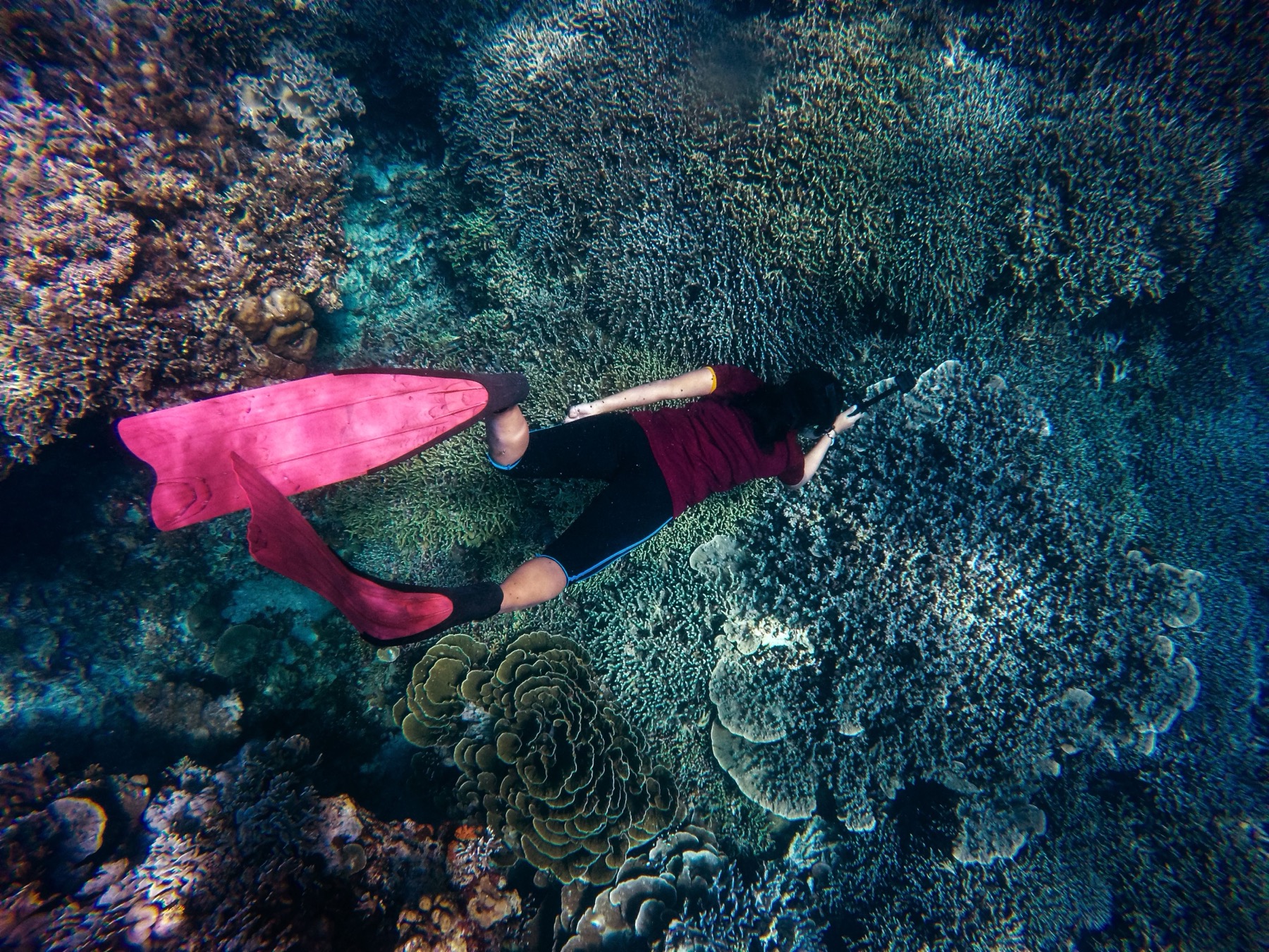 Zanzibar Tanzania: 44 oplevelser og bedste rejsetid i 2026 31 Snorkling og dykning ved et koralrev