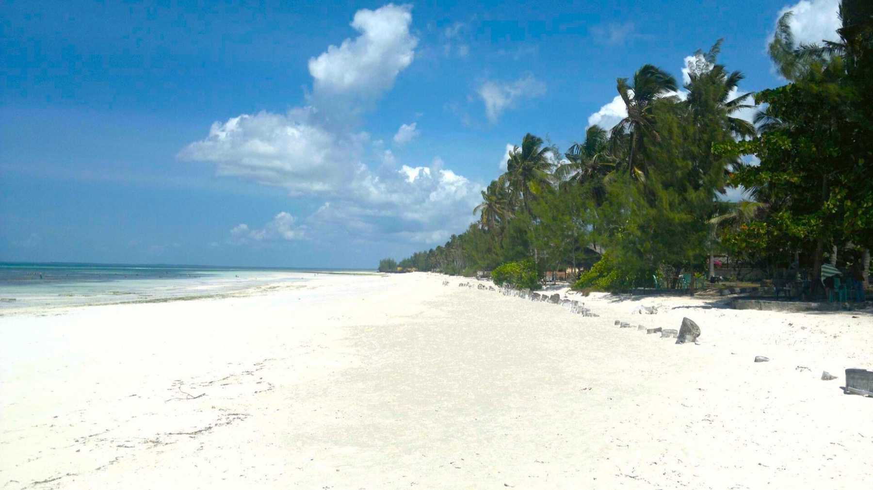 Zanzibar Tanzania: 44 oplevelser og bedste rejsetid i 2026 42 Strand i Uroa på Zanzibars østkyst