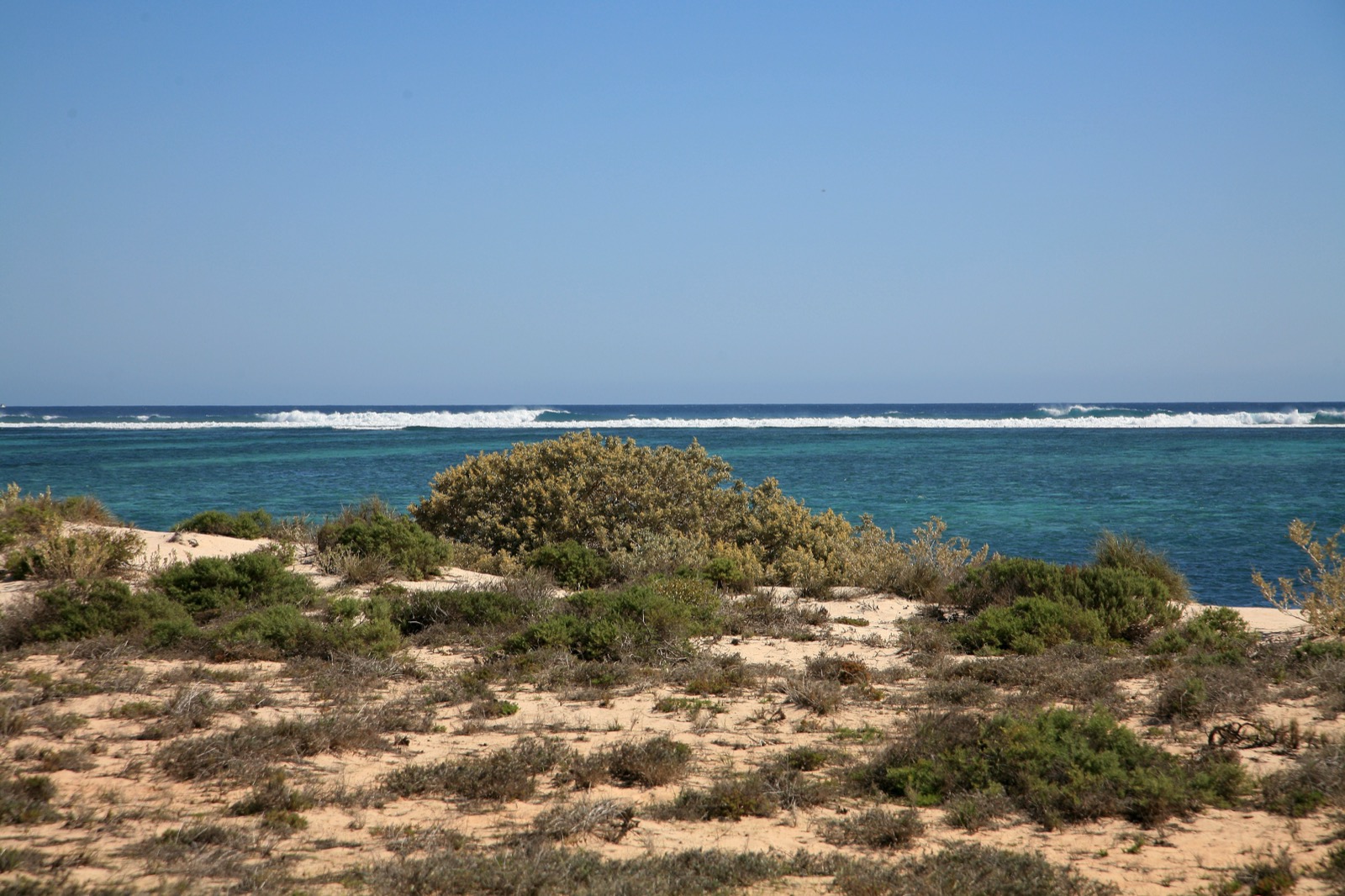 Australia Occidental 2026: qué ver de Perth a Kimberley + itinerario 17 Costa cerca de Ningaloo Reef