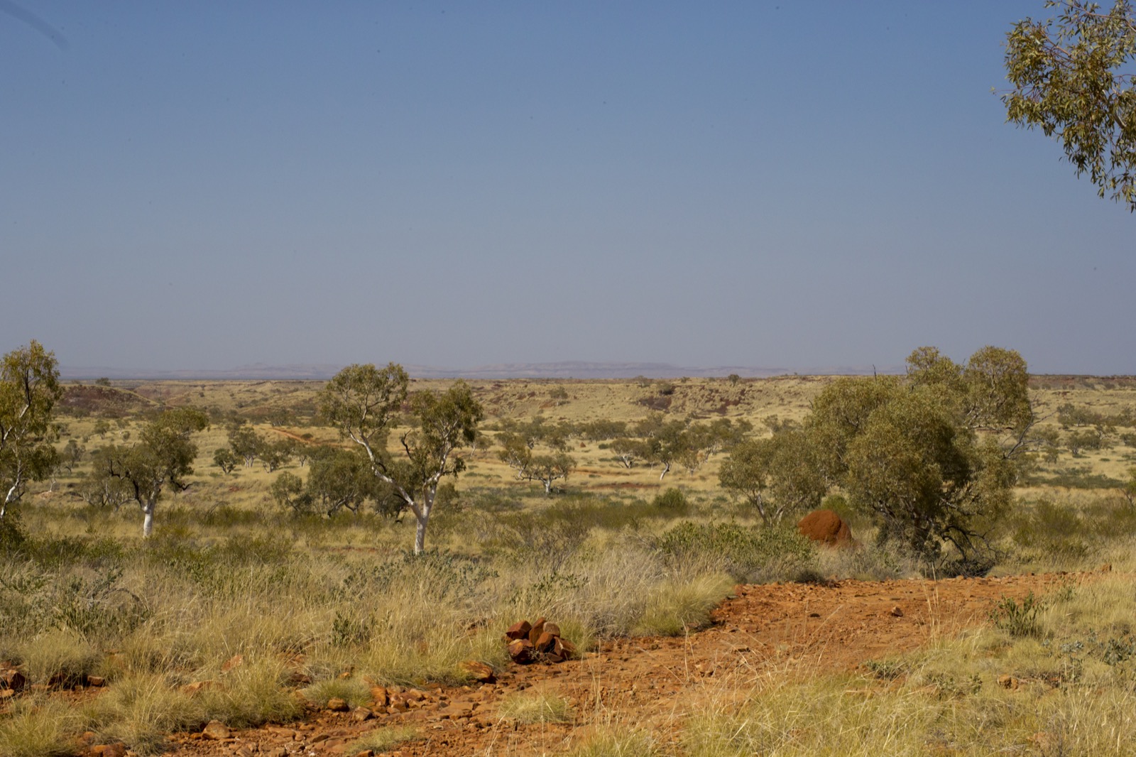 Australia Occidental 2026: qué ver de Perth a Kimberley + itinerario 16 Paisaje en Pilbara