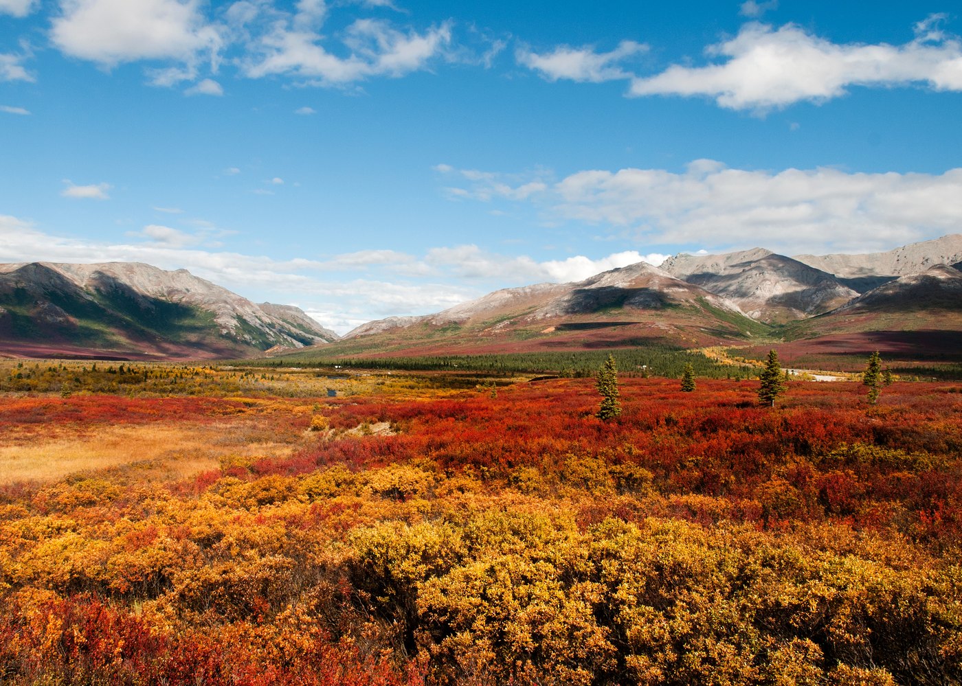 Hová menj nyaralni szeptemberben: 40 tipp tengerhez, hegyekbe és egzotikumba 32 Őszi tundra a Denali Nemzeti Parkban Alaszkában