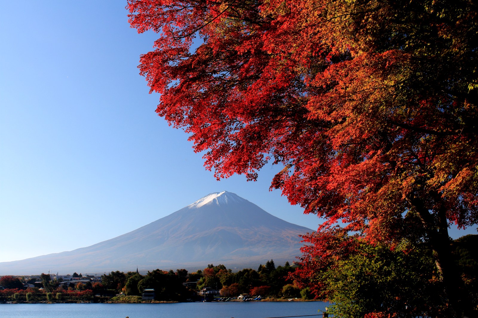Zonvakantie in oktober 2026: 37 tips waar het nog warm is 29 De berg Fuji en herfstesdoorns in Japan