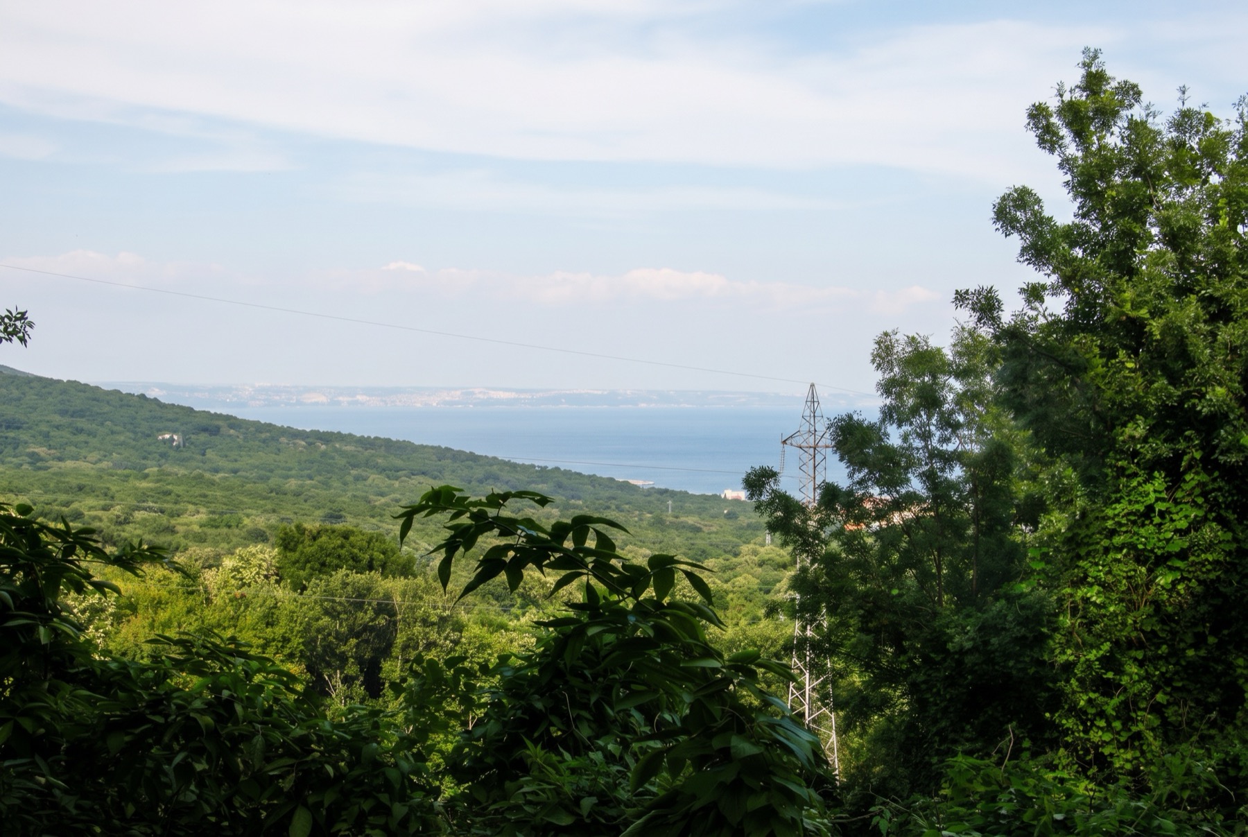 Golden Sands, Bulgaria in 2026: 15 Tips on What to See, Beaches and Costs 8 Wooded slope of the Golden Sands Nature Park