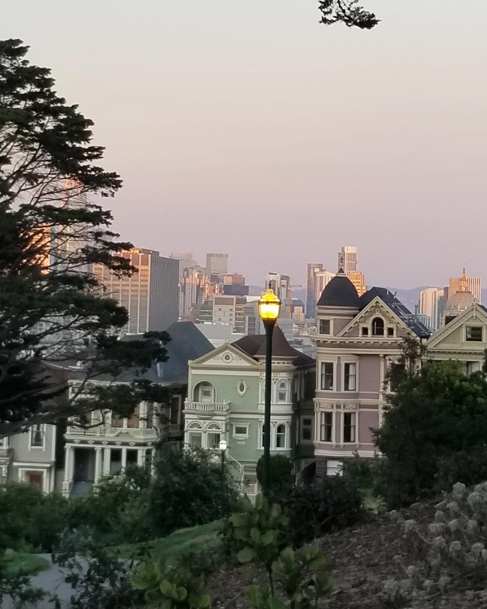 San Francisco, Kalifornia: 22 tipp, mit nézz meg 2026-ban 17 Az Alamo Square park és a híres Painted Ladies