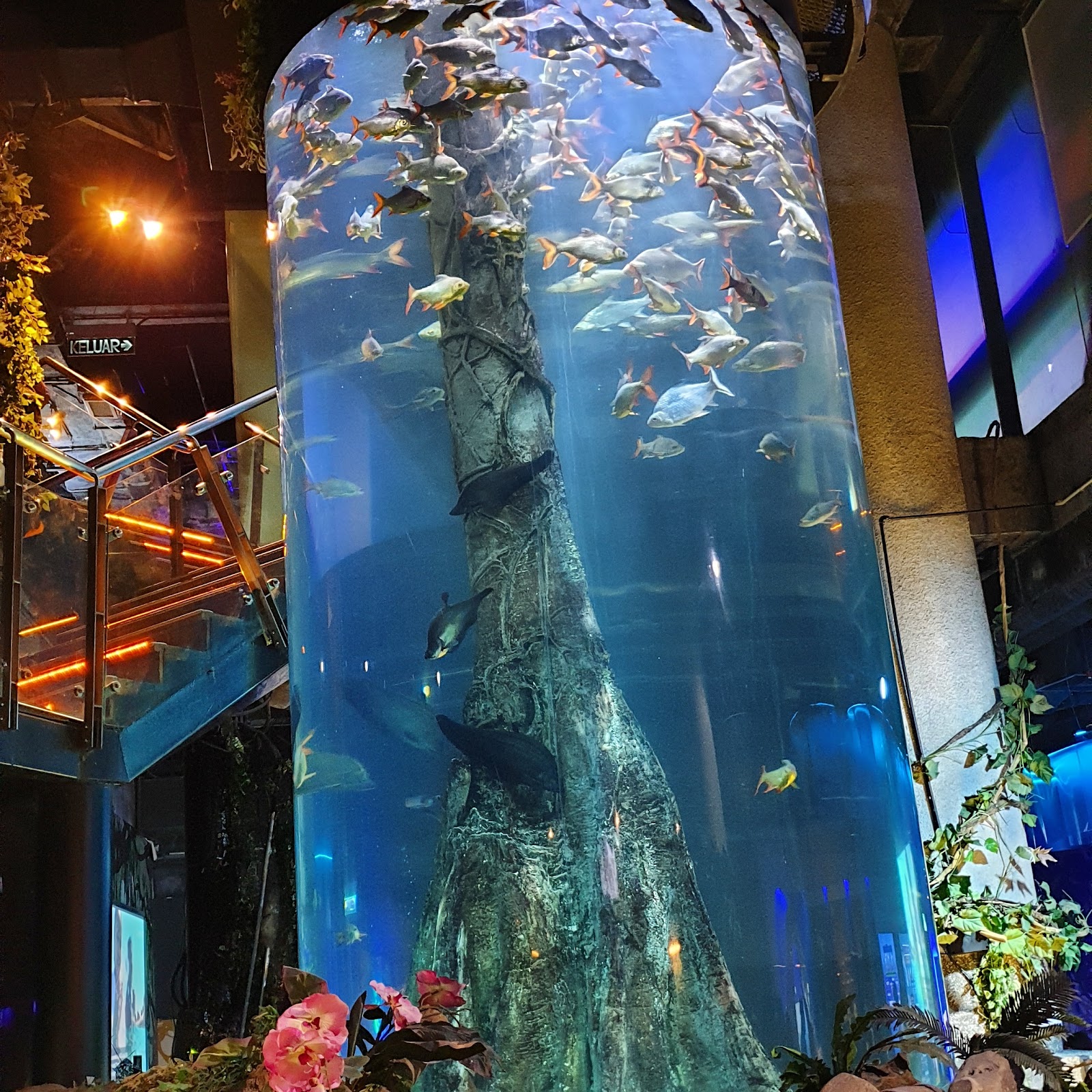 Kuala Lumpur, Malaysia: 18 Tips for What to See and Do in 2026 16 Underwater world at Aquaria KLCC