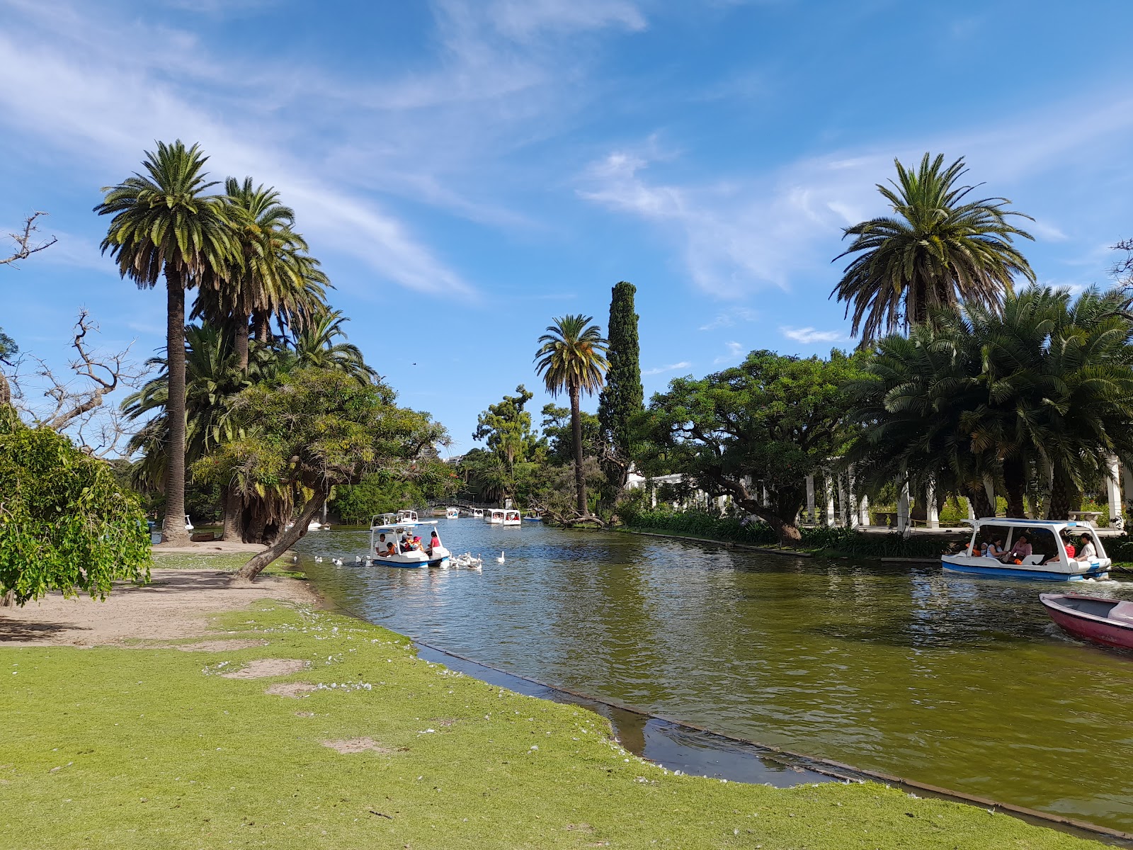 Buenos Aires, Argentina: 23 tips på vad du kan se och göra 2026 16 Bosques de Palermo och det berömda rosariet El Rosedal