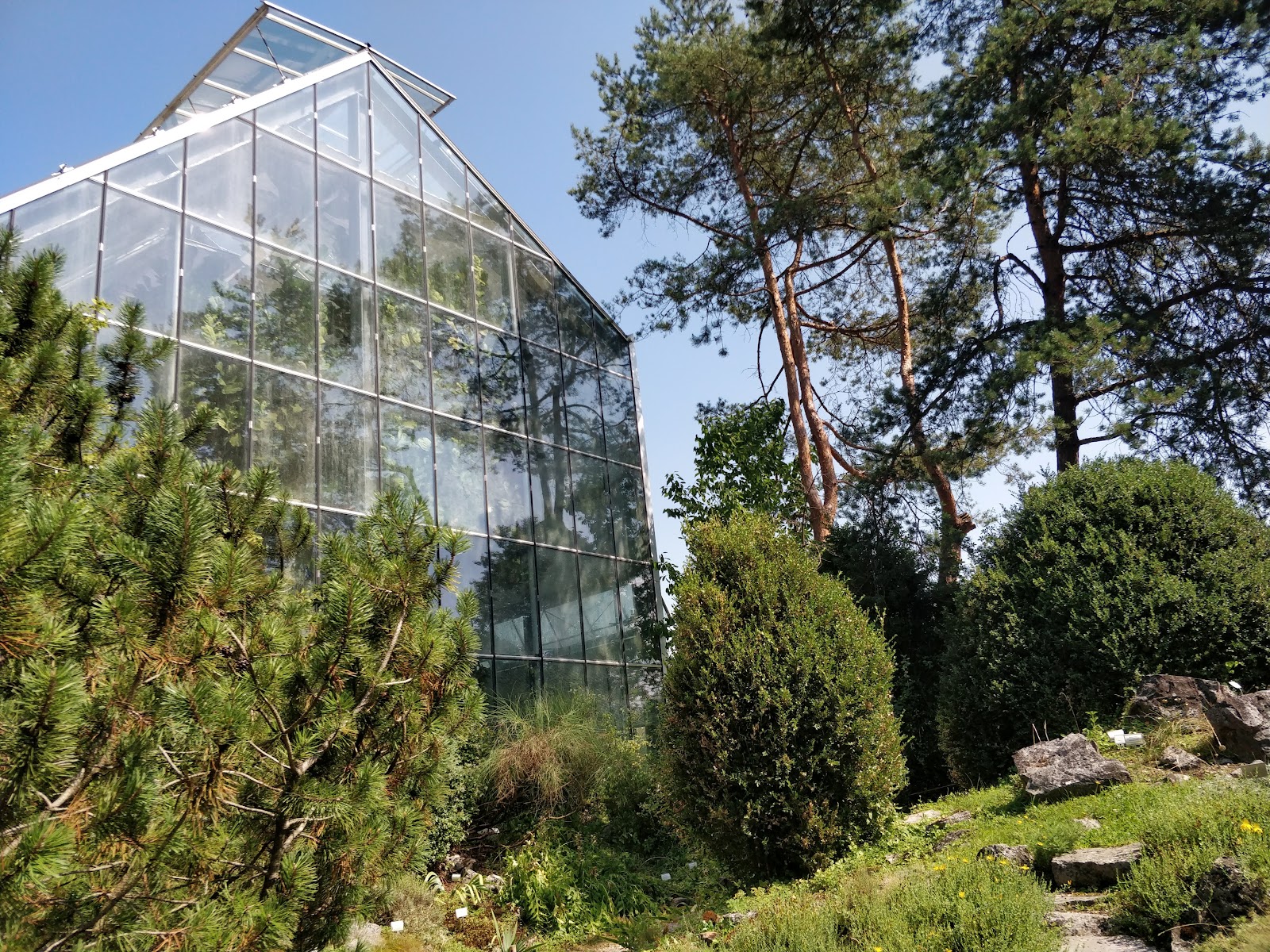 Lubiana, Slovenia: 20 cose da vedere e fare nel 2026 20 Orto Botanico e Parco Špica