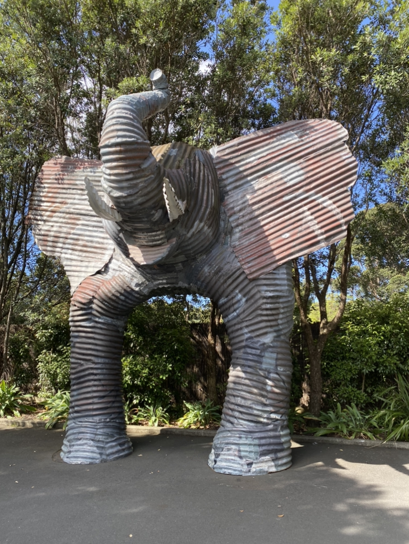 Auckland, Neuseeland: 22 Tipps, was du 2026 sehen und erleben kannst 17 Auckland Zoo