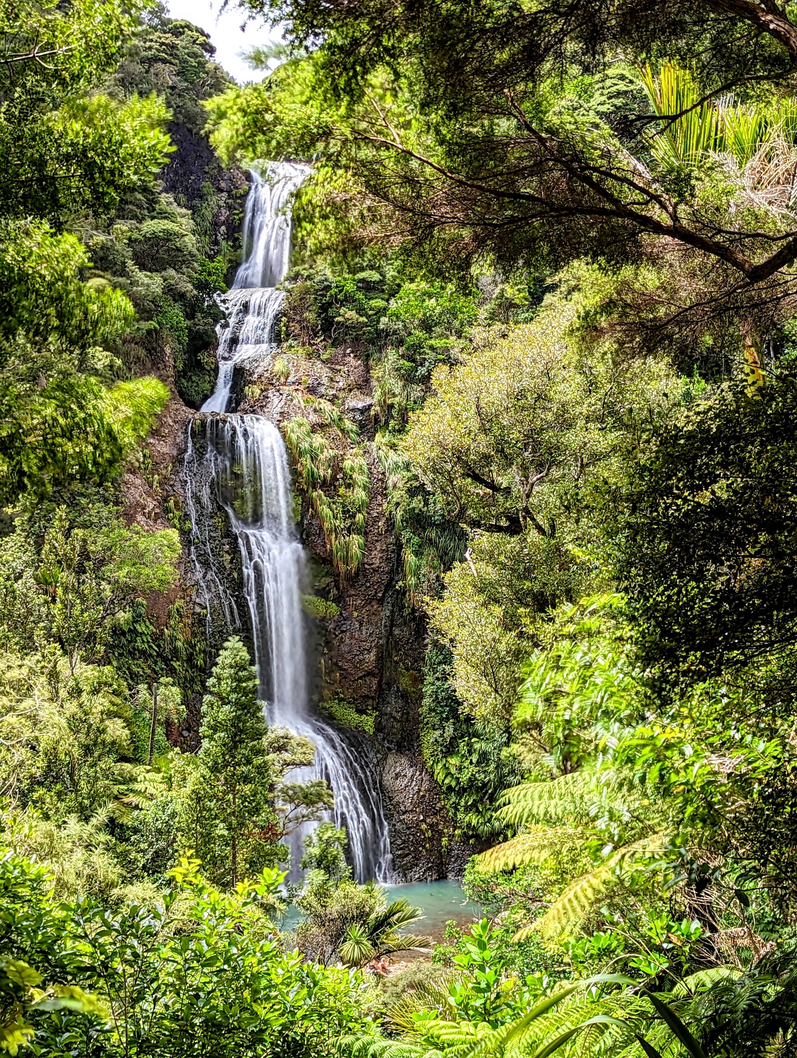 Auckland, Neuseeland: 22 Tipps, was du 2026 sehen und erleben kannst 20 Karekare, Kitekite Falls und Waitākere Ranges