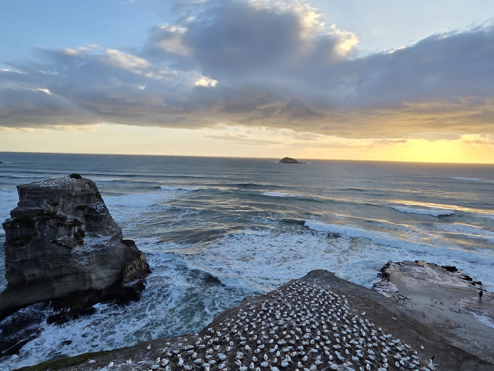 Auckland, Neuseeland: 22 Tipps, was du 2026 sehen und erleben kannst 21 Muriwai