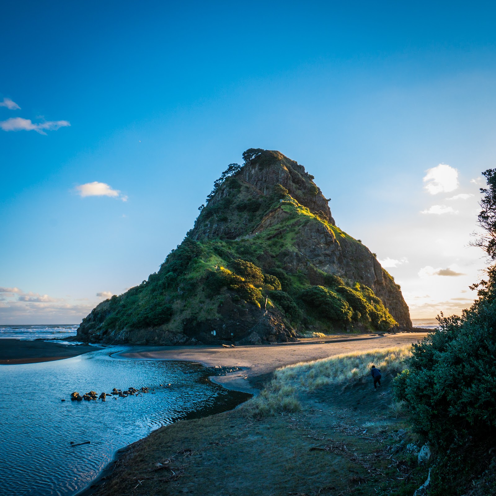Auckland, Neuseeland: 22 Tipps, was du 2026 sehen und erleben kannst 19 Lion Rock am Strand Piha
