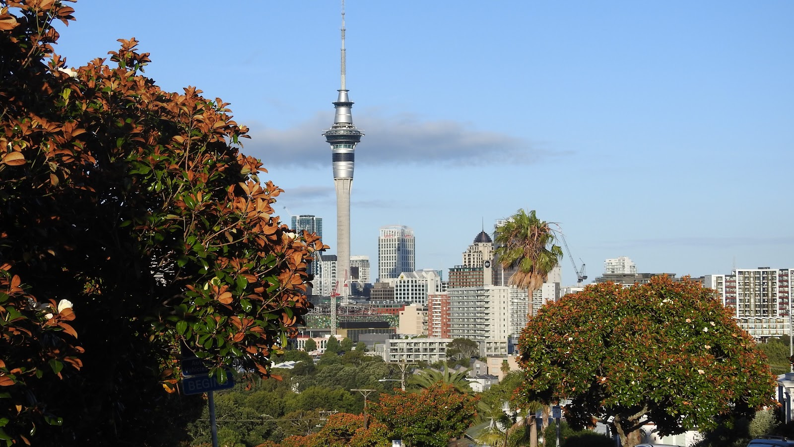Auckland, Neuseeland: 22 Tipps, was du 2026 sehen und erleben kannst 8 Ponsonby Road und K Road