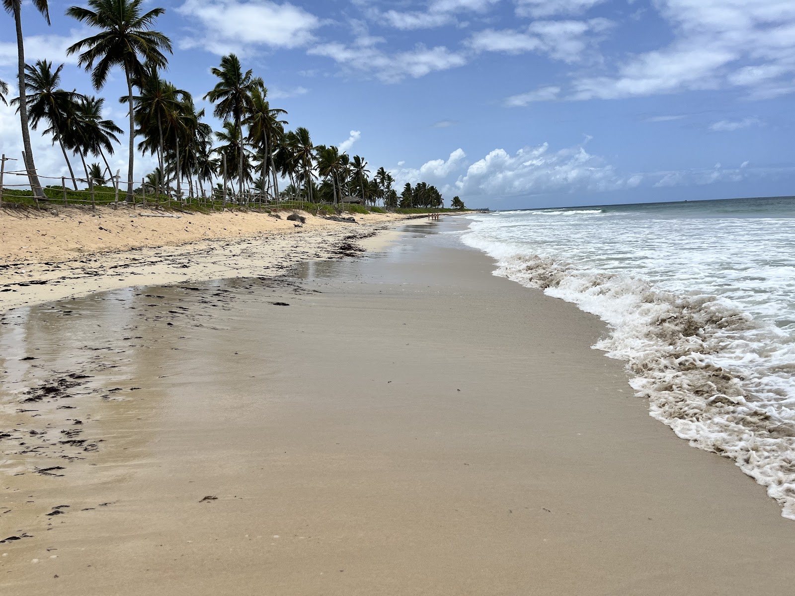 Punta Cana, Dominikai Köztársaság: 20 tipp, mit láss és csinálj 2026-ban 4 A vad Playa de Macao