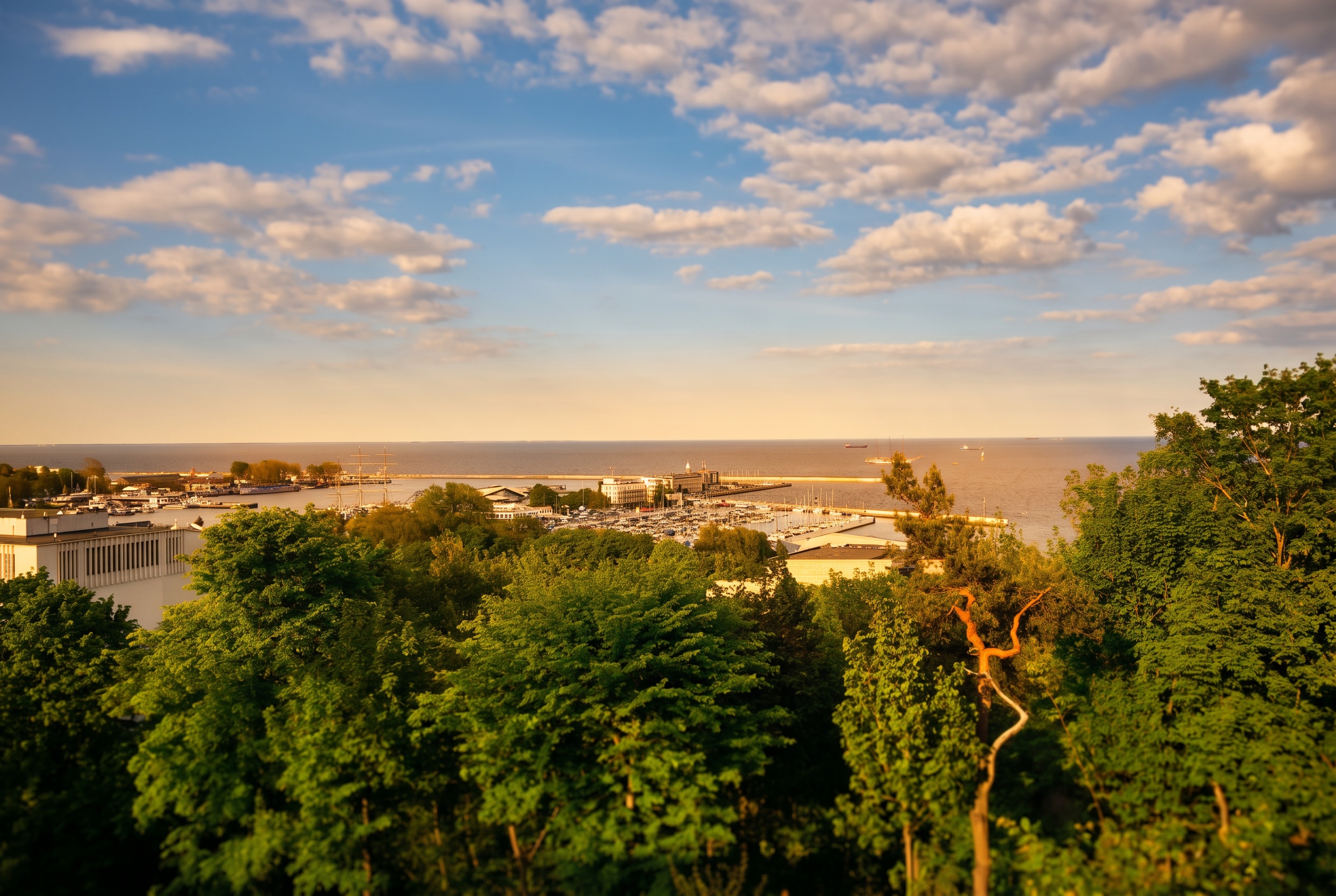 Gdynia, Polen: 19 tips til ting å se, priser og strender 11 Utsikt fra Kamienna Góra over havnen og Østersjøen