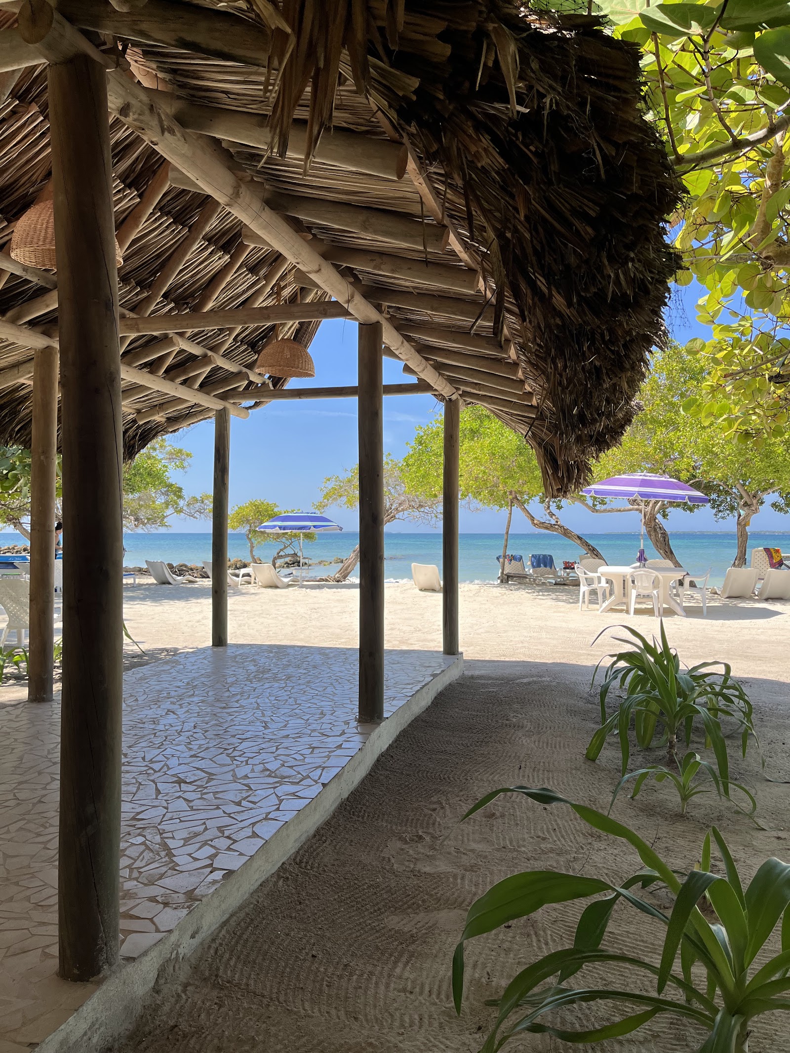 Hol szállj meg Cartagenában (Kolumbia): 18 legjobb hotel és városrész 2026-ban 19 Hotel Carey Beach Barú