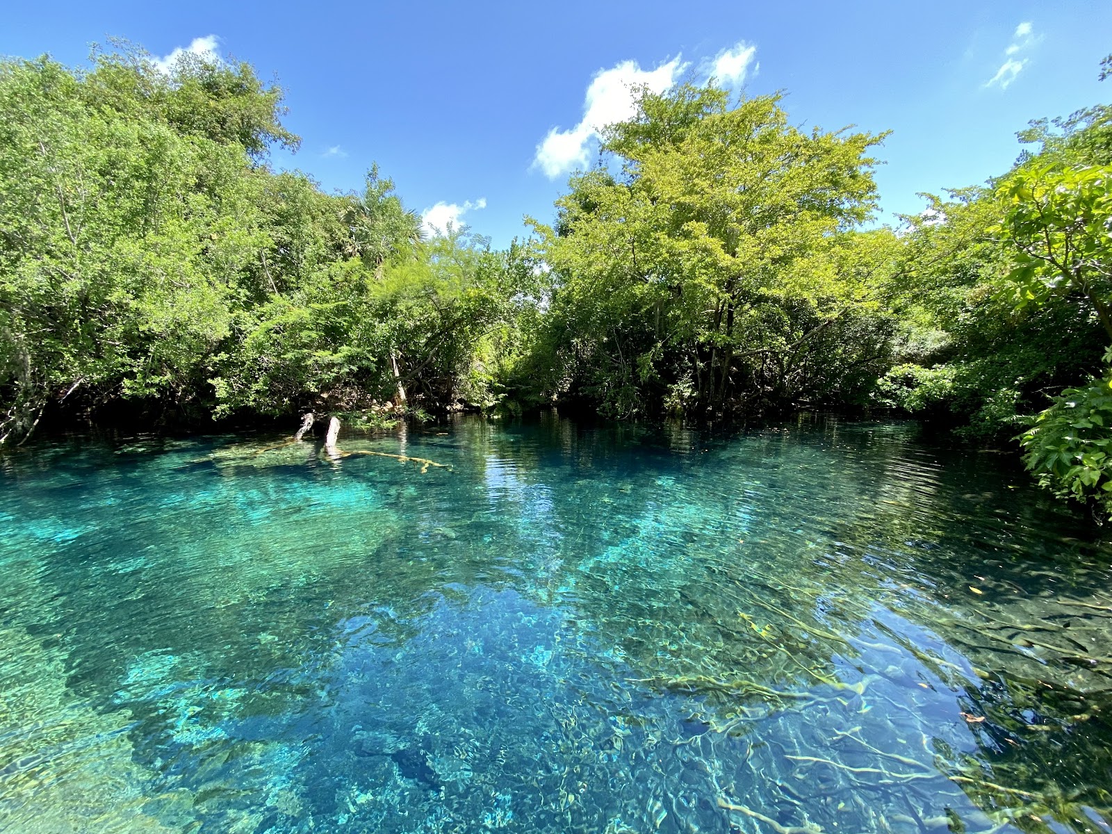Punta Cana, Dominikai Köztársaság: 20 tipp, mit láss és csinálj 2026-ban 10 Indigenous Eyes Ecological Reserve
