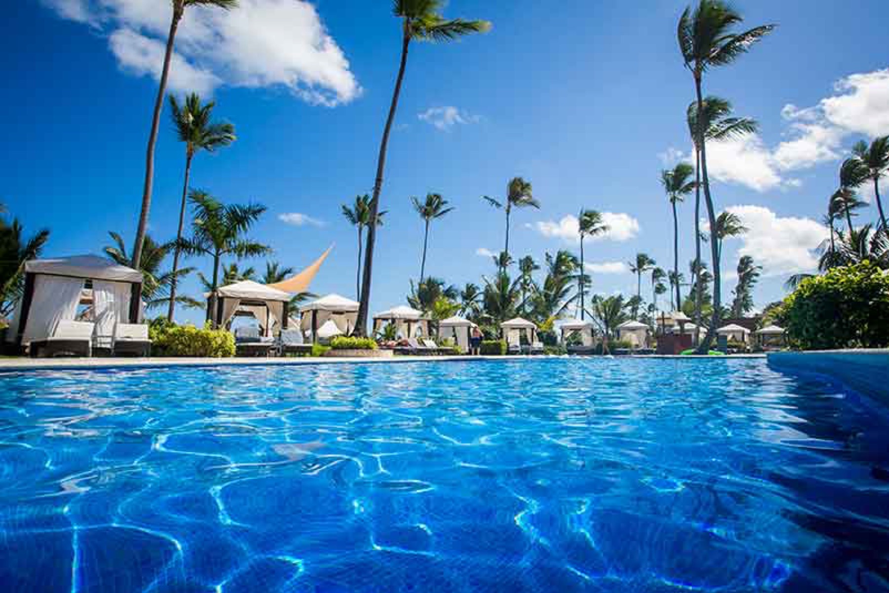 All-inclusive a Punta Cana e nei Caraibi: 27 resort per tipo di vacanza nel 2026 8 Piscina con palme e sdraio al Majestic Elegance Punta Cana
