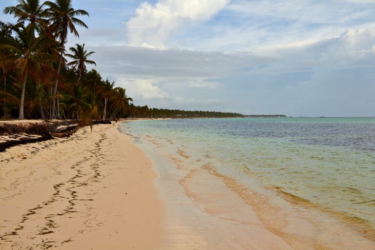 Republica Dominicană: ghid, sfaturi și ce să vezi 2026 3 All-inclusive în Punta Cana și Caraibe: 27 de resorturi pe tipuri de vacanță în 2026