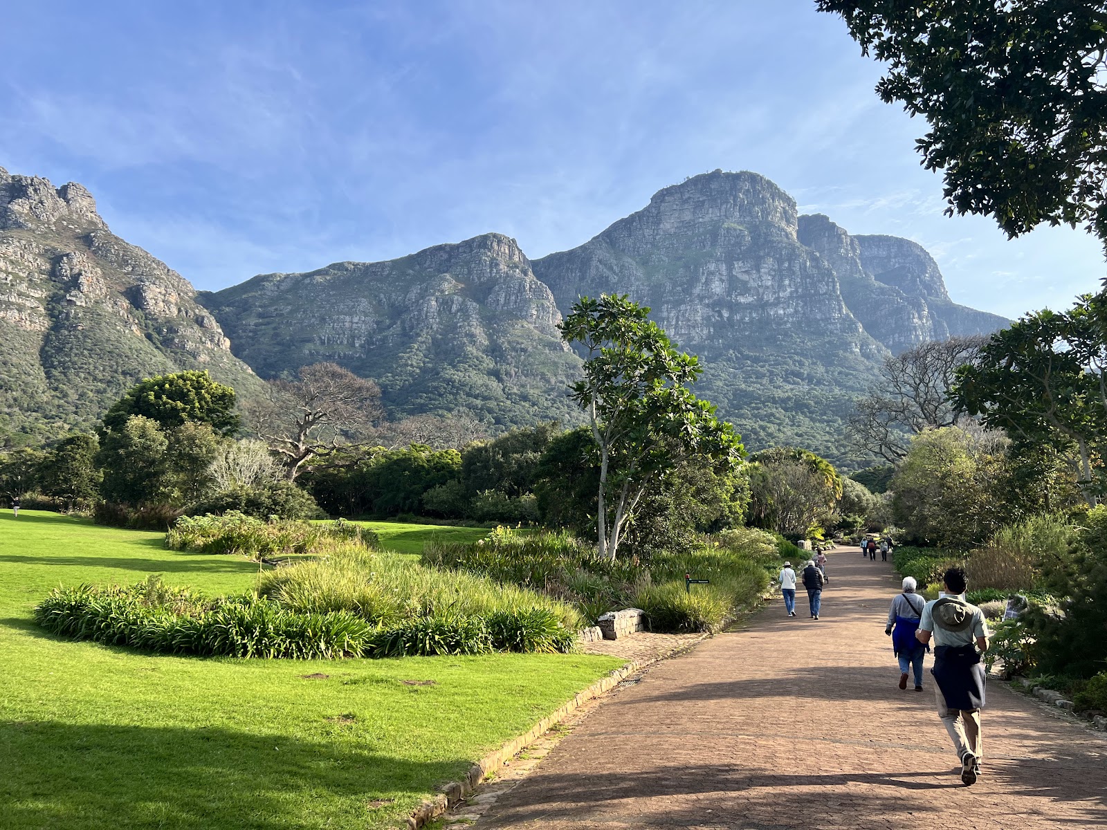 Kapstadt, Südafrika: 22 Tipps, was du 2026 sehen und erleben solltest 3 Kirstenbosch und Nationaler Botanischer Garten