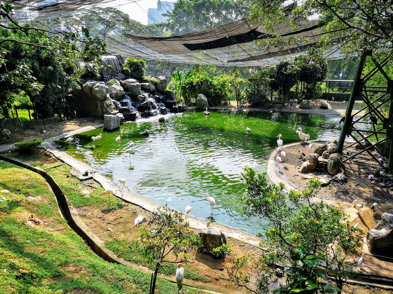 Kuala Lumpur, Malaysia: 18 Tips for What to See and Do in 2026 13 Bird world at KL Bird Park