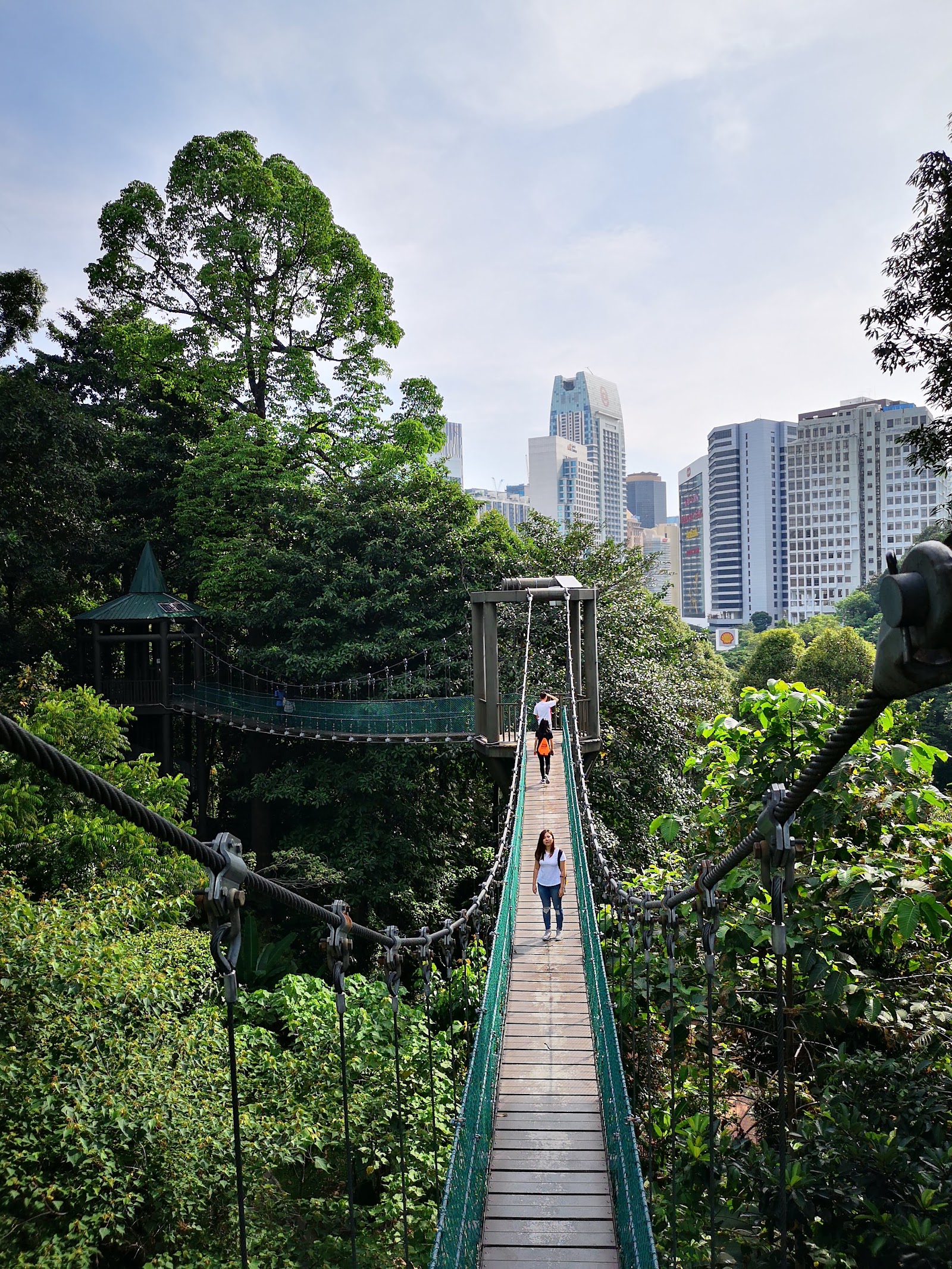 Kuala Lumpur, Malaysia: 18 Tips for What to See and Do in 2026 10 Rainforest at KL Forest Eco Park (Bukit Nanas)