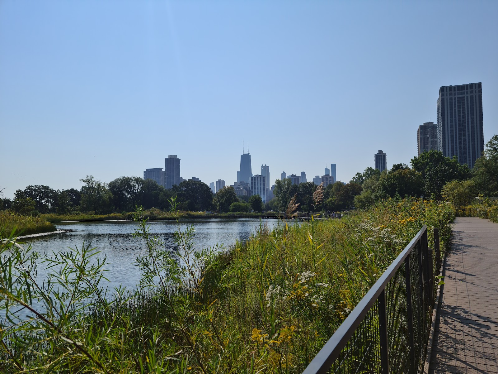 Chicago, Estados Unidos: 22 consejos sobre qué ver y hacer en 2026 18 Lincoln Park y zoo gratuito