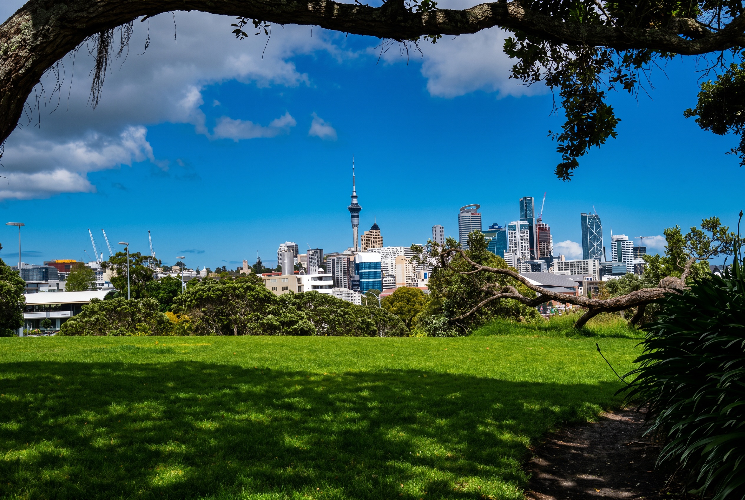 Auckland, Neuseeland: 22 Tipps, was du 2026 sehen und erleben kannst 10 Mission Bay und Tamaki Drive