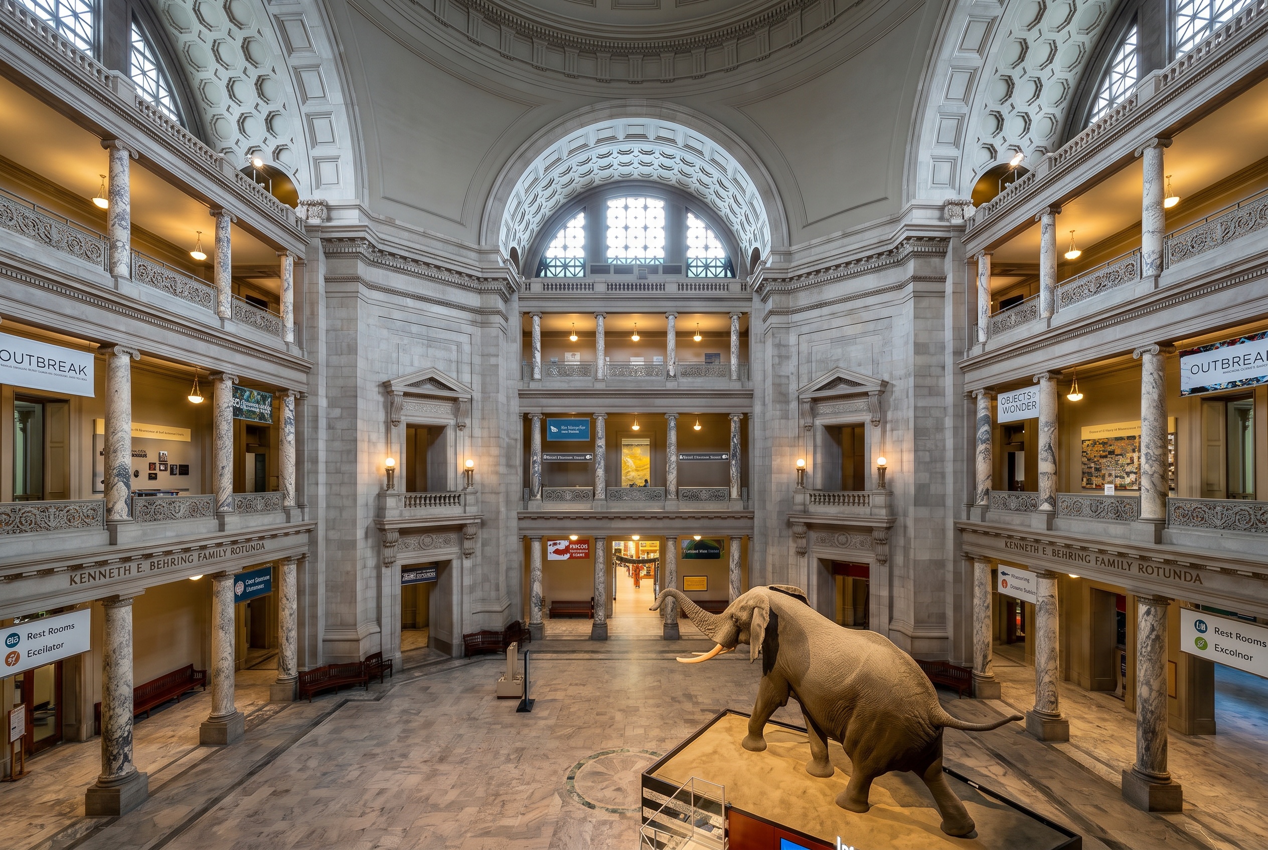 Washington D.C., USA: 22 Things to See and Do in 2026 10 National Museum of Natural History