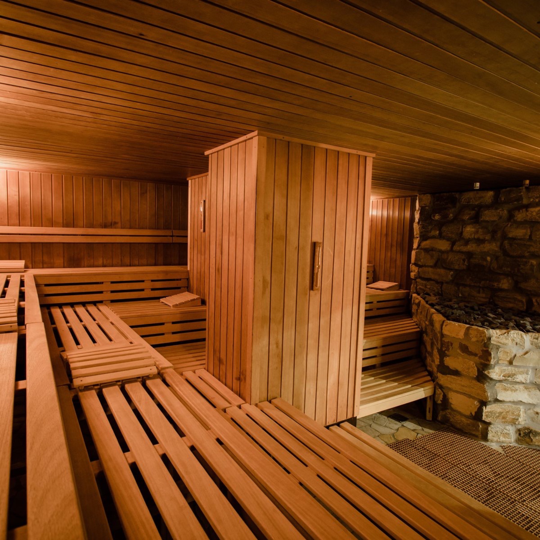 Termas en Alemania: 51 mejores balnearios en 2026 45 Odenwald-Therme (Bad König): zona de saunas