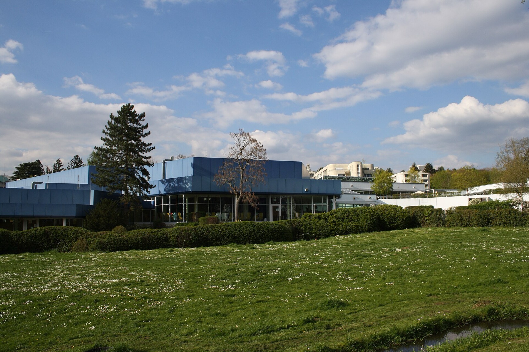 Termas en Alemania: 51 mejores balnearios en 2026 46 Edificio del Thermalbad Aukammtal en el parque de Wiesbaden