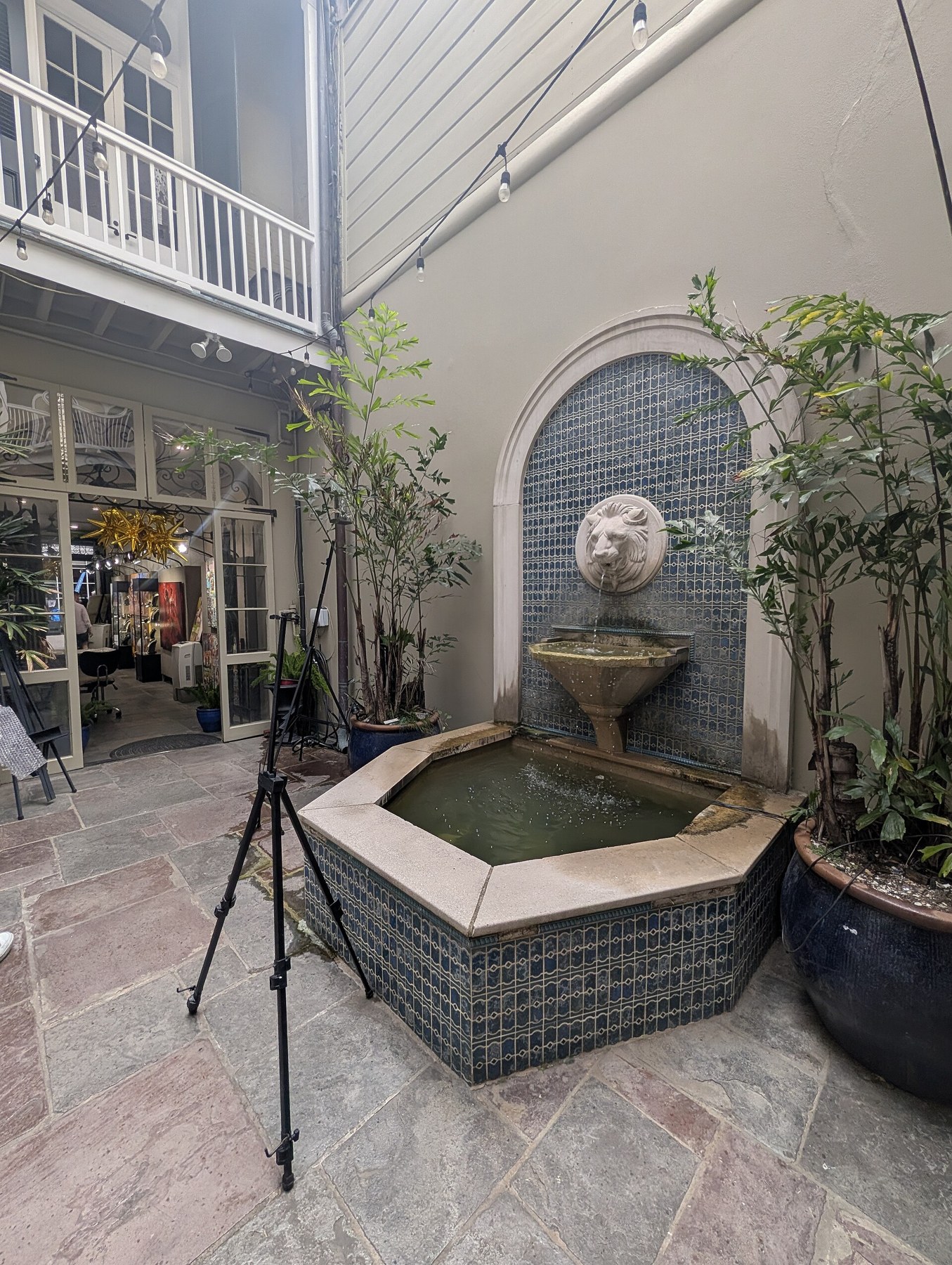 Things to Do in New Orleans: 18 Must-See Spots 6 Historic courtyard at the Historic New Orleans Collection