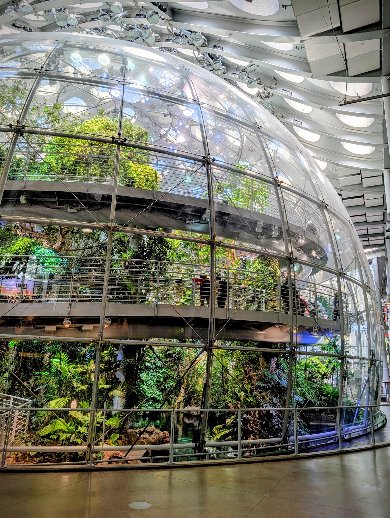 San Francisco, Kalifornia: 22 tipp, mit nézz meg 2026-ban 10 A California Academy of Sciences természettudományi múzeum