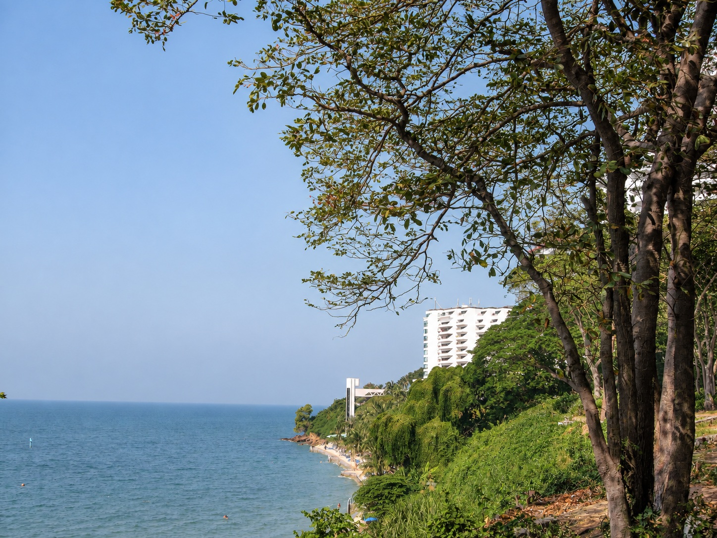 Pattaya, Thailand: 15 Things to See and Do in 2026 6 Coastline below cliffs in the Pratumnak area
