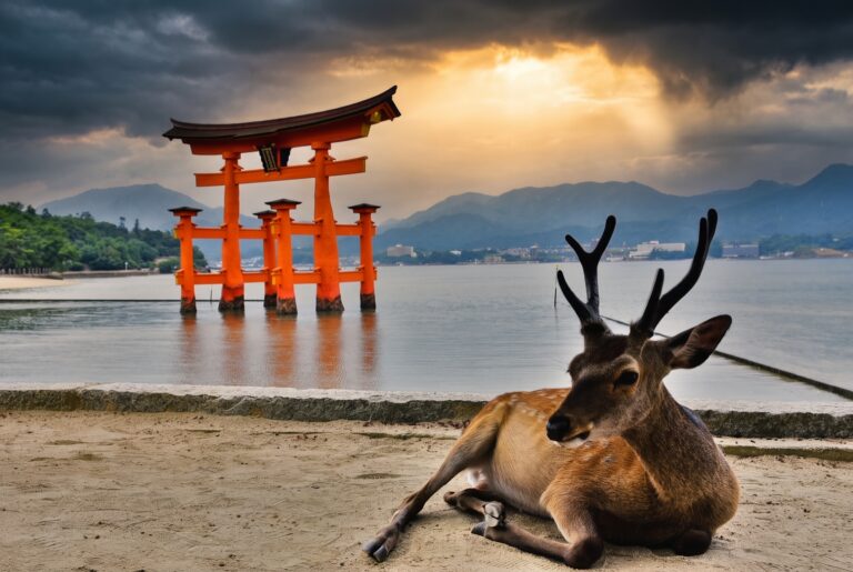 Japan: guide, tips och vad du ska se 2026 3 Hiroshima, Japan: 22 tips på vad du kan se och göra 2026