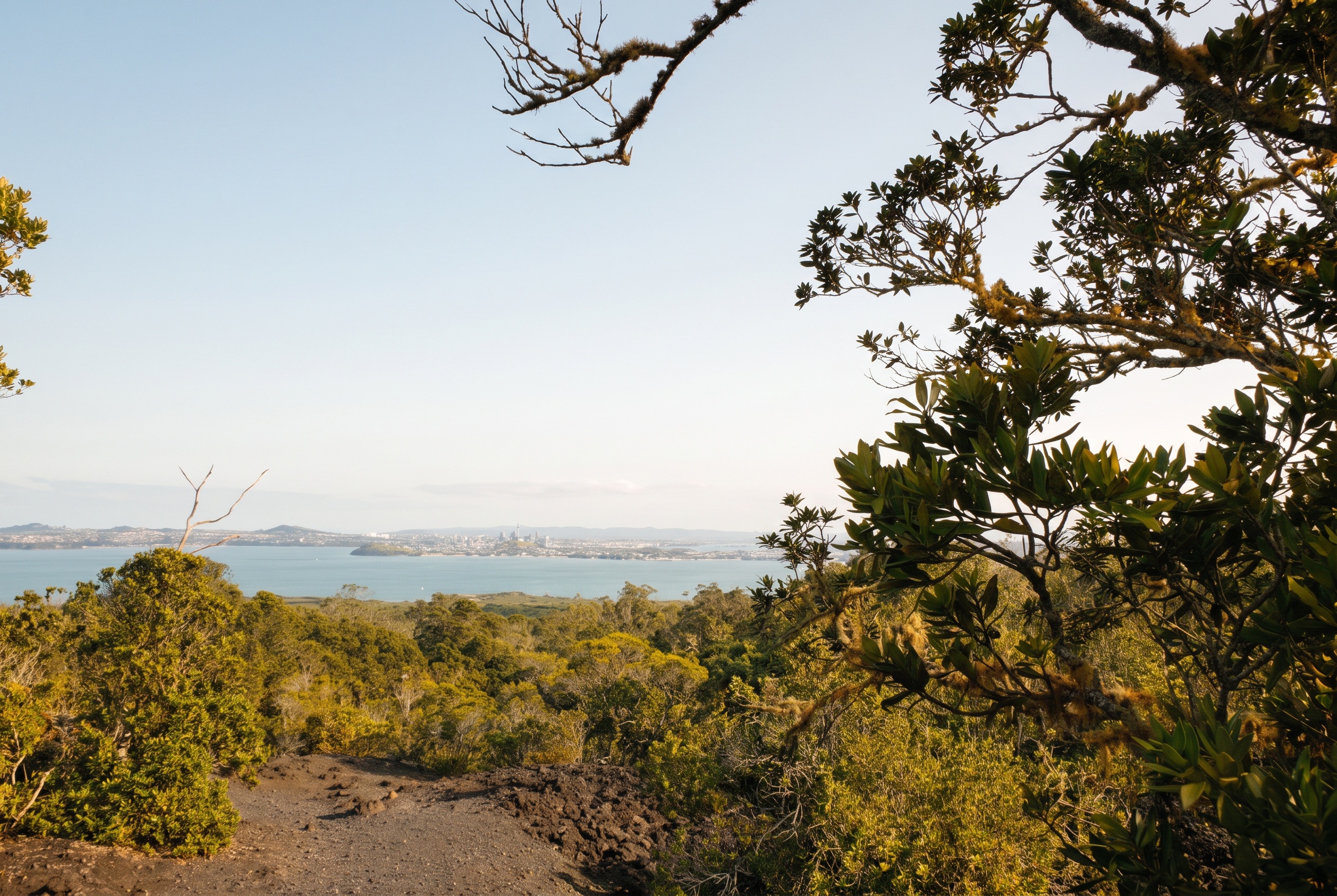 Auckland, Neuseeland: 22 Tipps, was du 2026 sehen und erleben kannst 12 Rangitoto