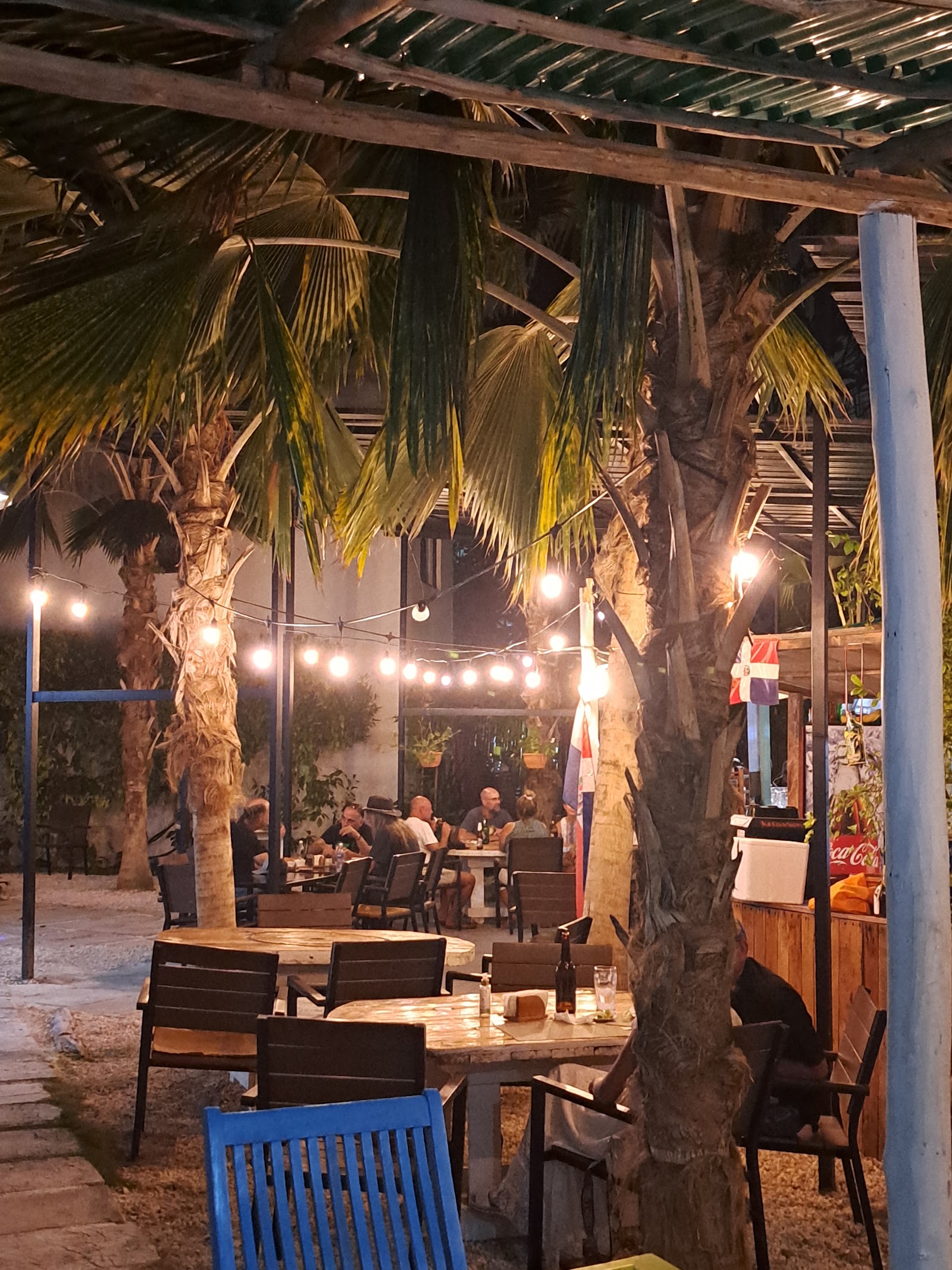 Punta Cana, Dominikai Köztársaság: 20 tipp, mit láss és csinálj 2026-ban 18 A növényi Riviera Express Vegan