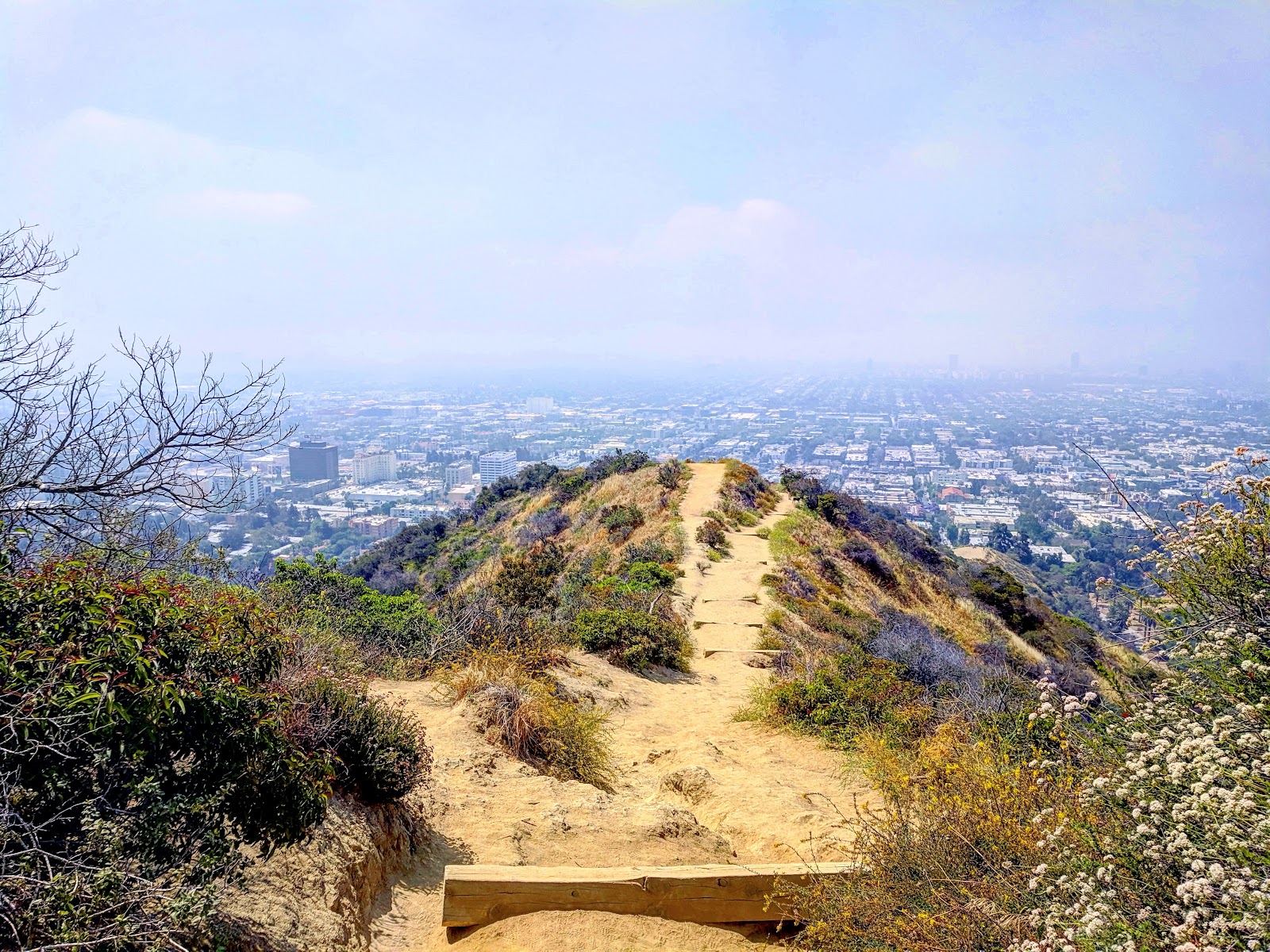 Los Angeles, Kalifornia: 24 tipp, mit láss és csinálj 2026-ban 6 Runyon Canyon Park