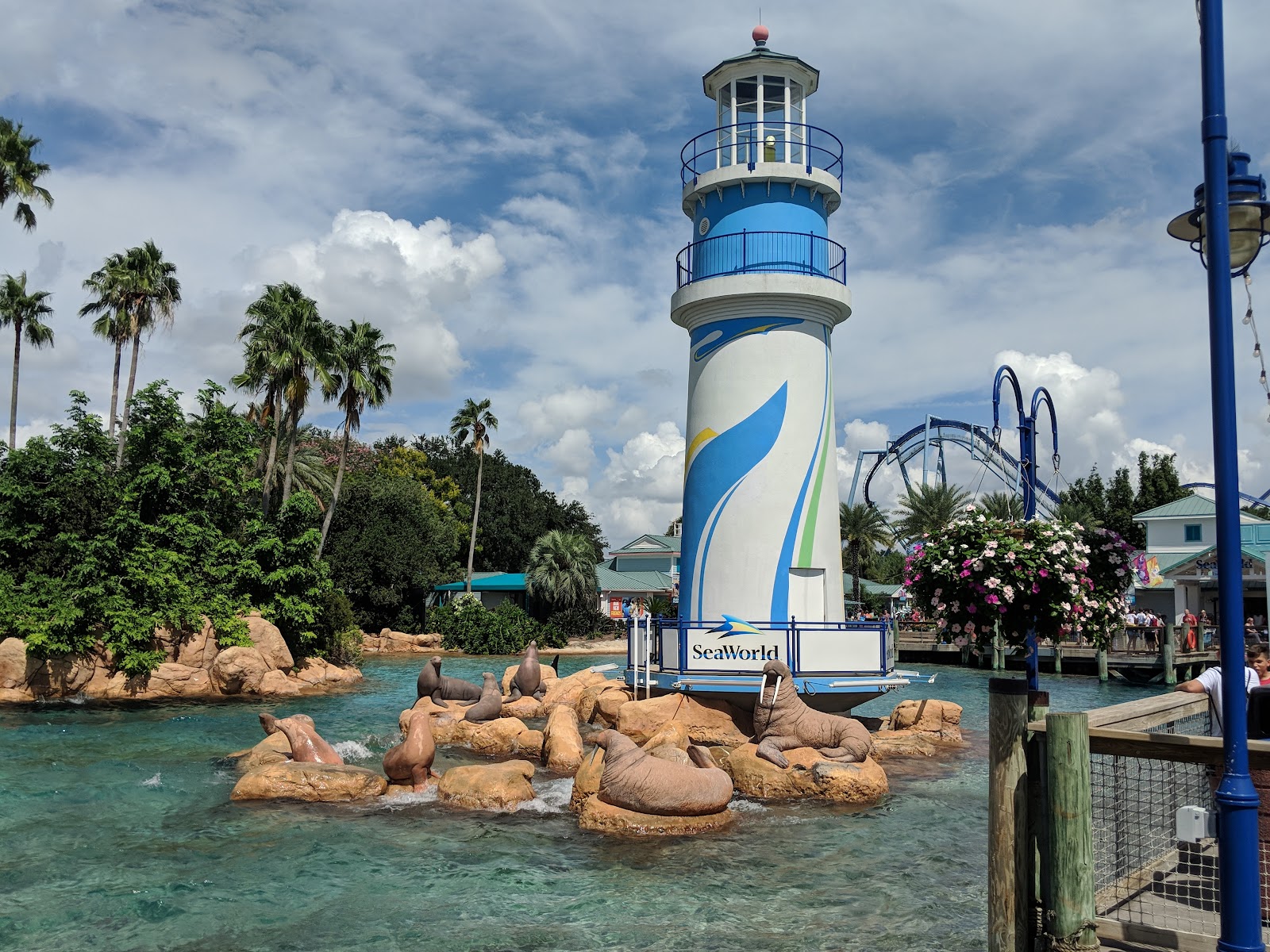 Orlando, SUA: 20 de locuri de vizitat + sfaturi pentru parcuri în 2026 10 SeaWorld Orlando