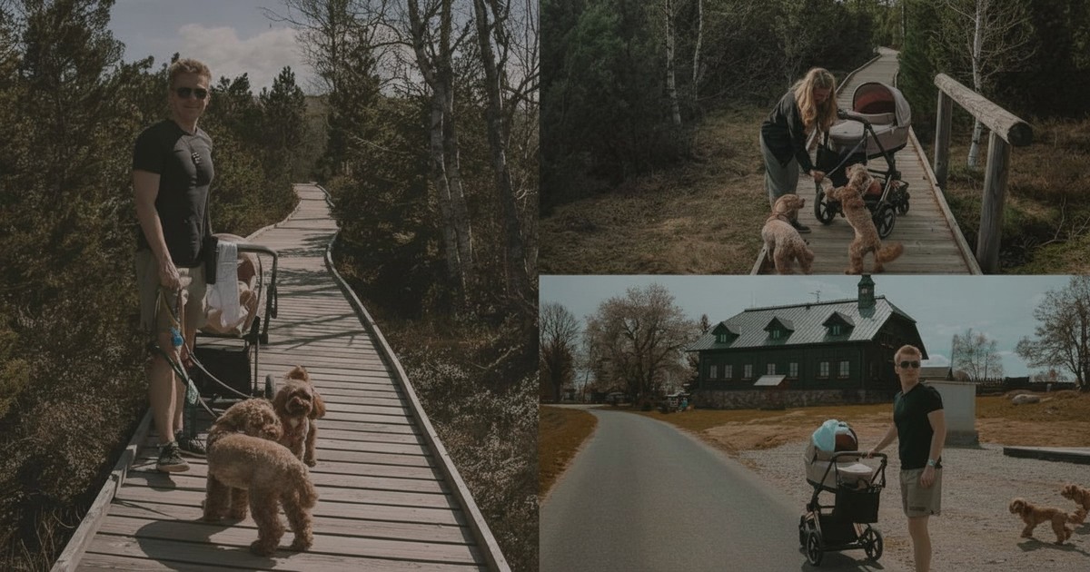 Šumava, Repubblica Ceca: 17 migliori destinazioni per escursioni con il passeggino 1 Šumava con il passeggino